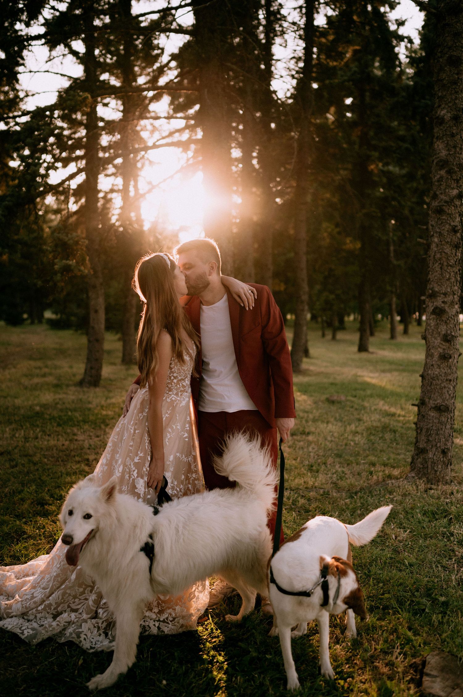 A couple sits with their white dogs in a forest backlit by golden sunset light.