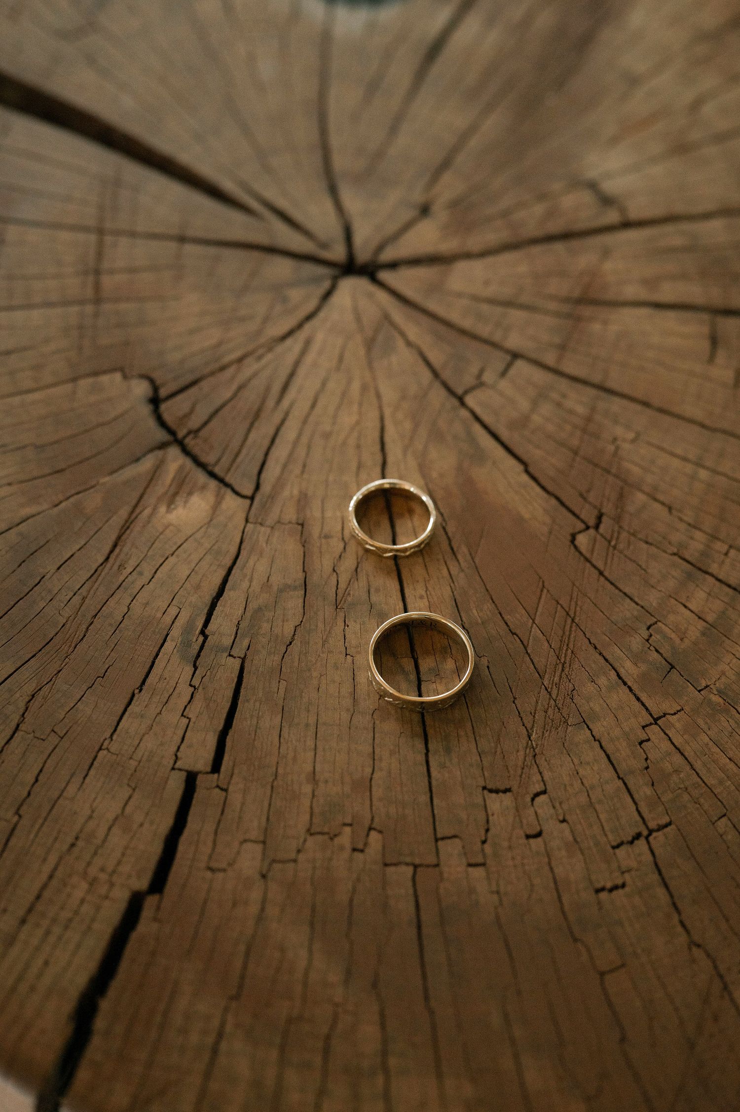 Two gold wedding rings rest on a rustic wooden surface with natural cracks and tree ring patterns.