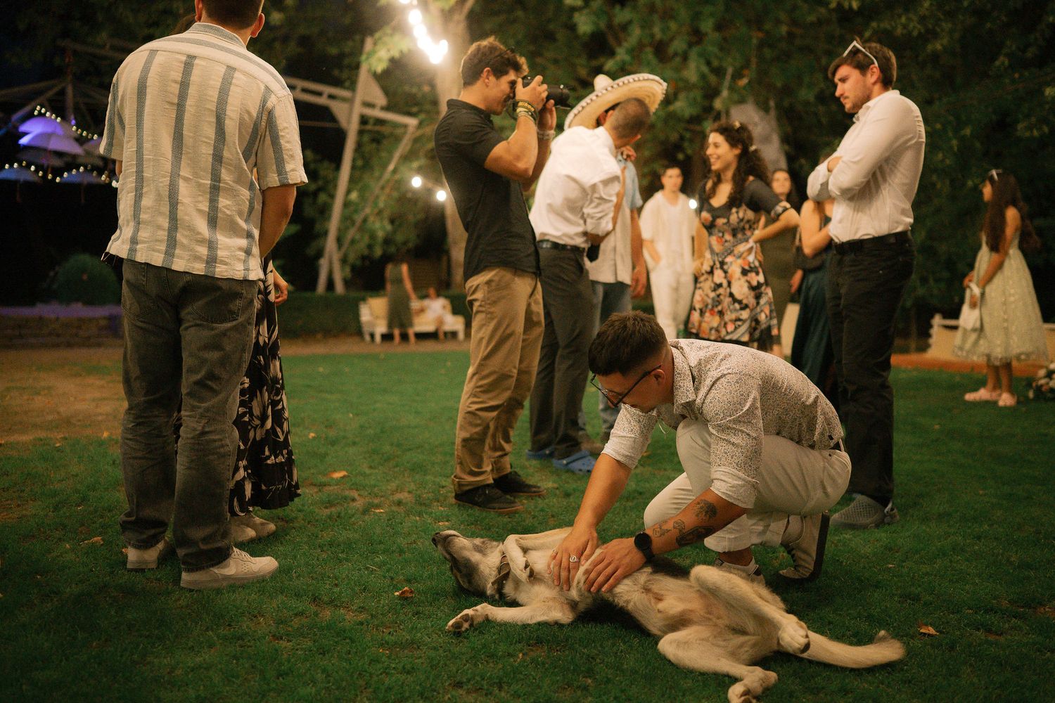 Guests mingle and relax on blankets during a casual outdoor evening gathering in a park setting.