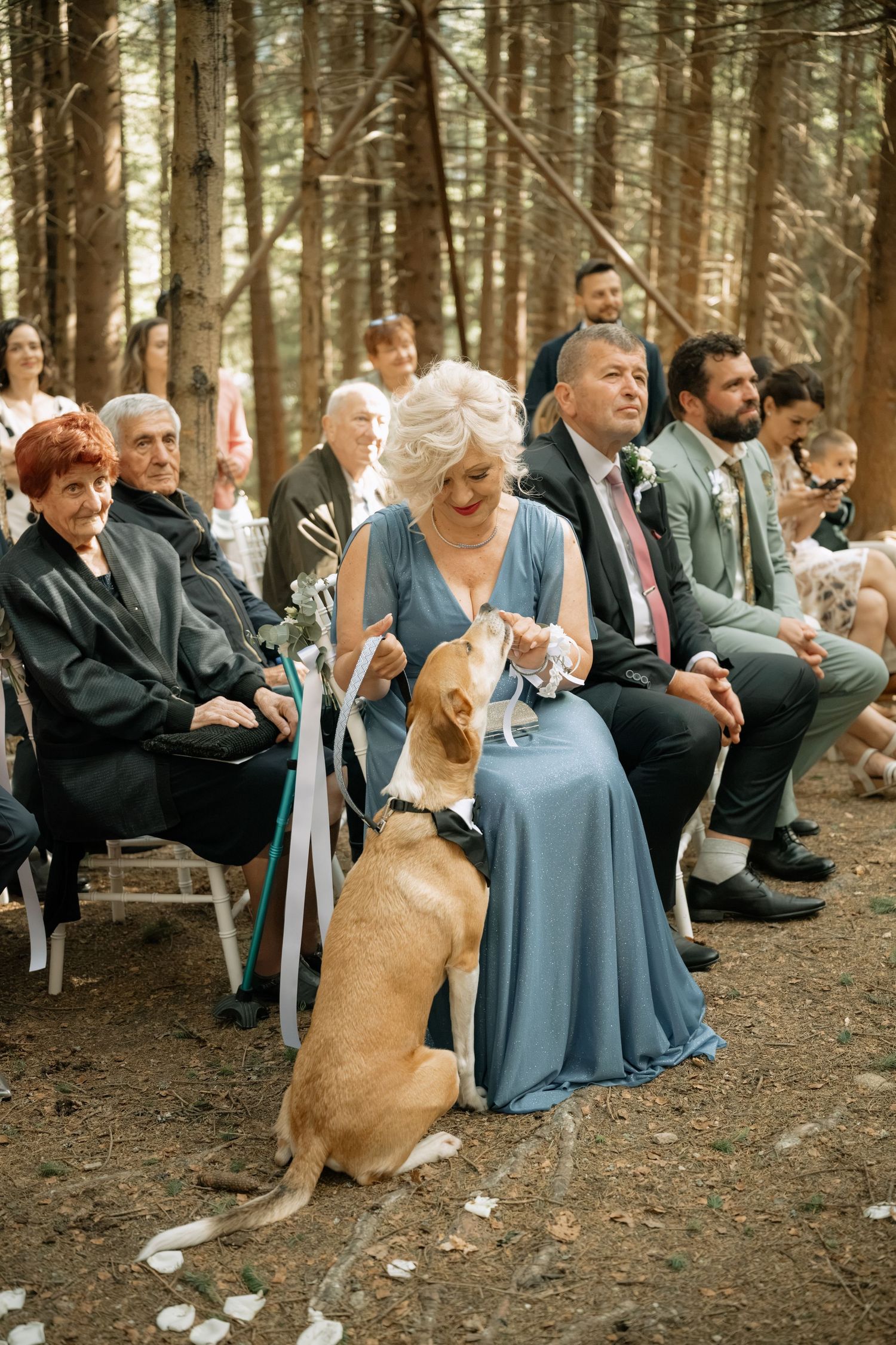 A woman in a blue dress pets a dog wearing a collar with ribbons at an outdoor forest wedding ceremony.