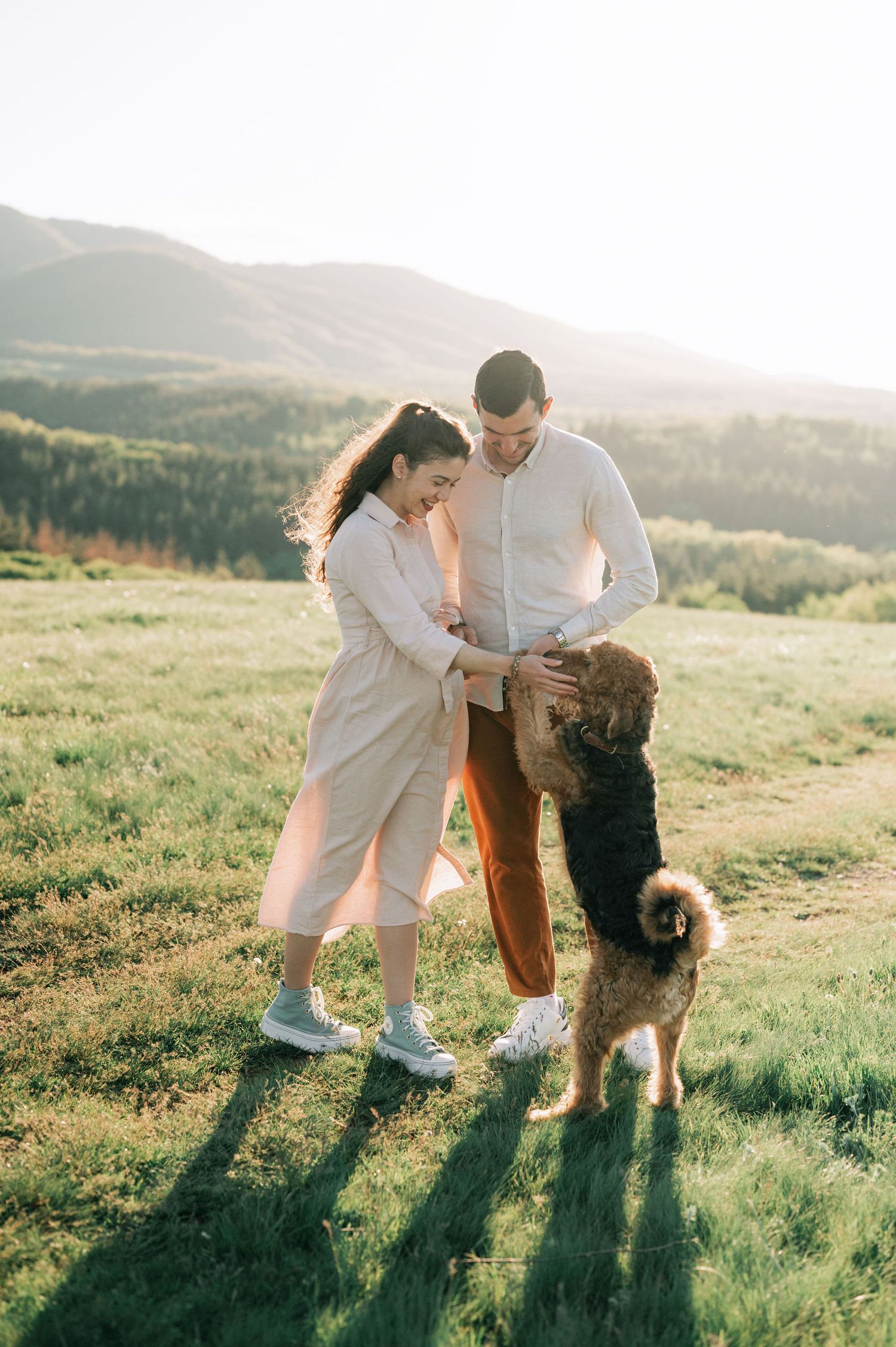 A person in a white dress plays with a large brown dog on a sunlit grassy hillside during golden hour.