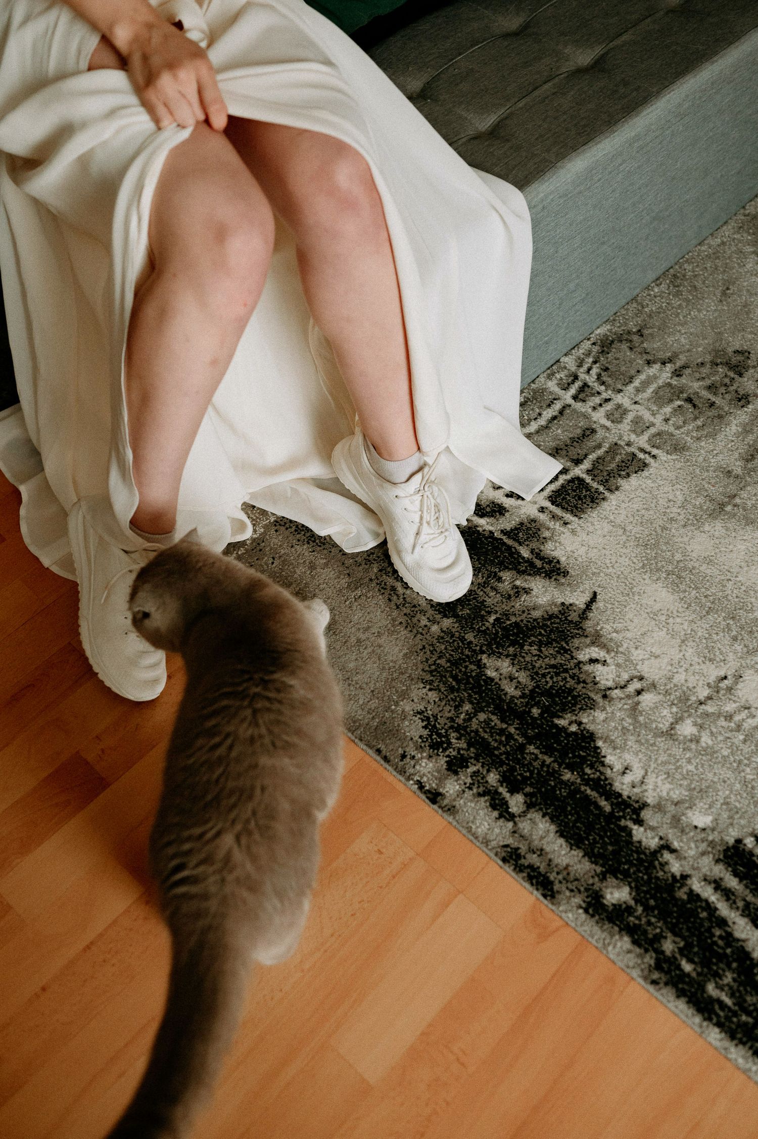 Grey cat interacting playfully with hem of white dress on wooden floor.