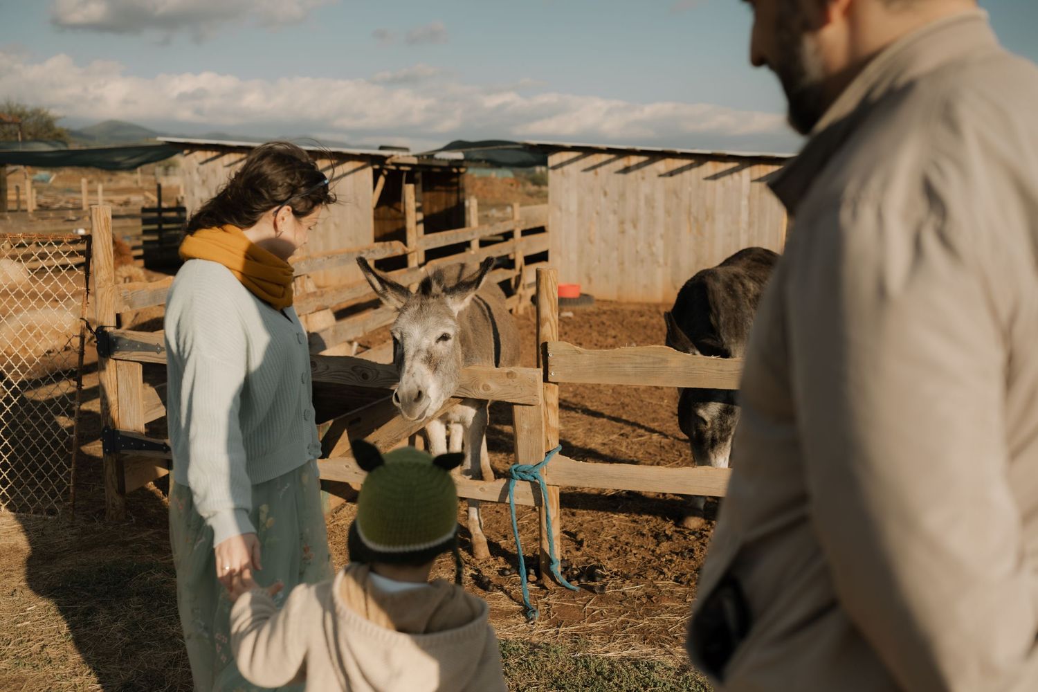 People working together in a rustic farm setting with wooden fences and warm sunlight creating a pastoral scene.