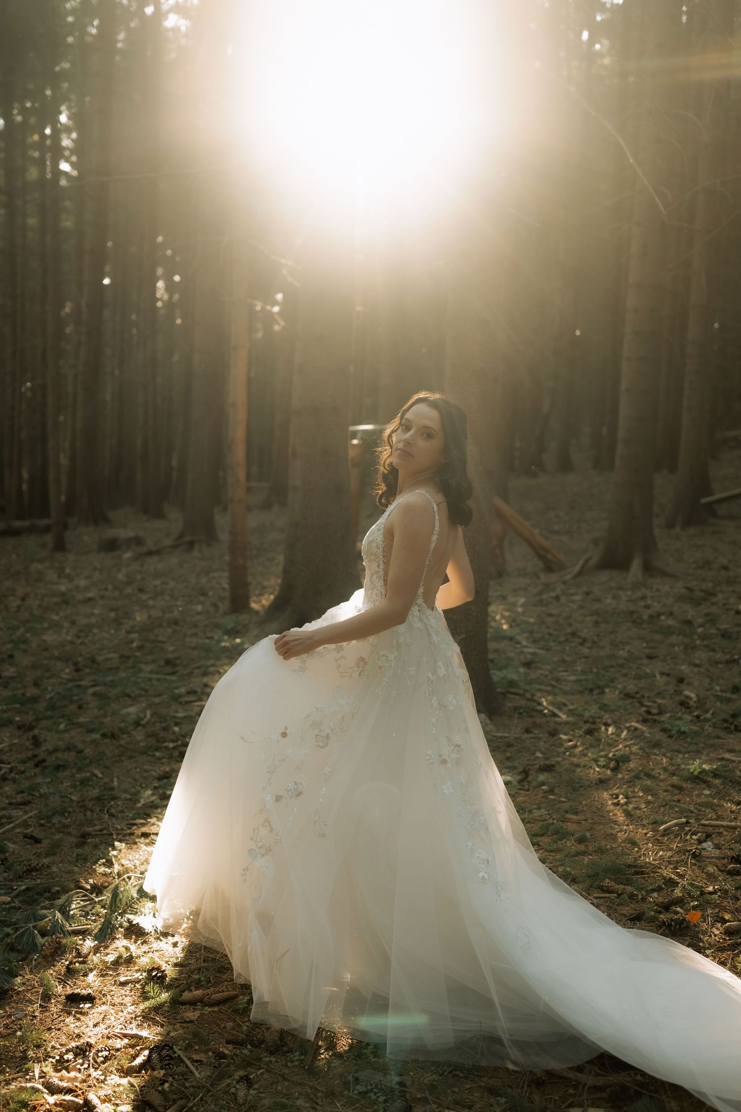 Bride in floral tulle gown poses in sunlit forest, golden light streaming through tall pine trees.