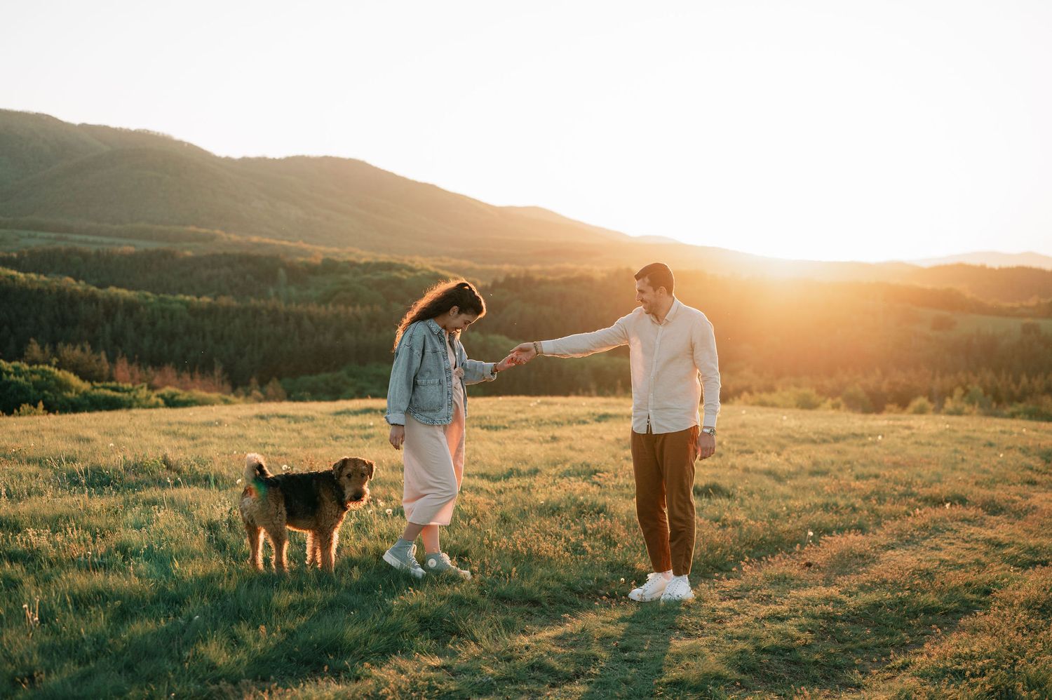 A couple and their dog walk together in a golden field at sunset while holding hands.