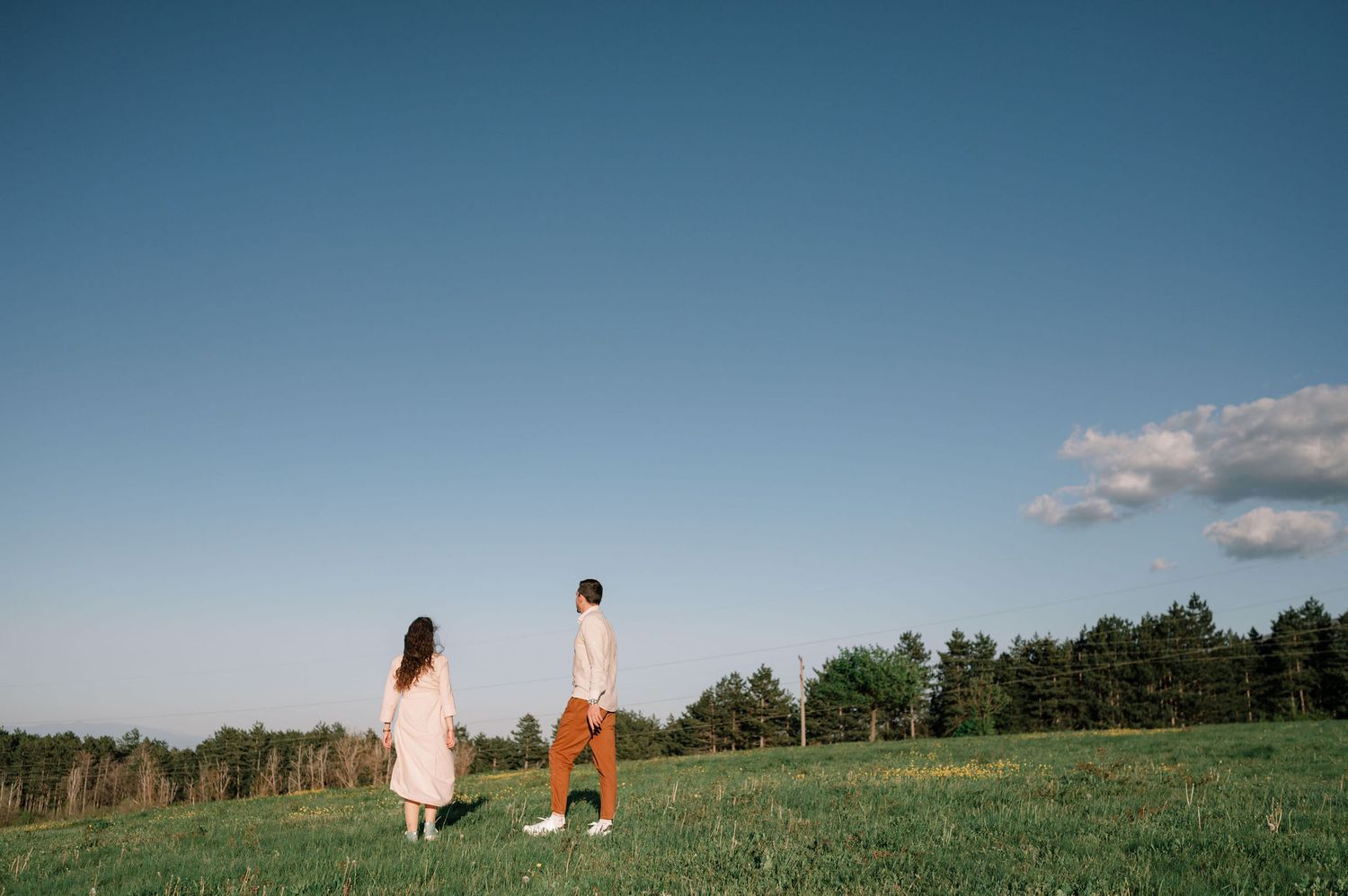 Panoramic meadow scene with distant figures set against a bright blue summer sky.