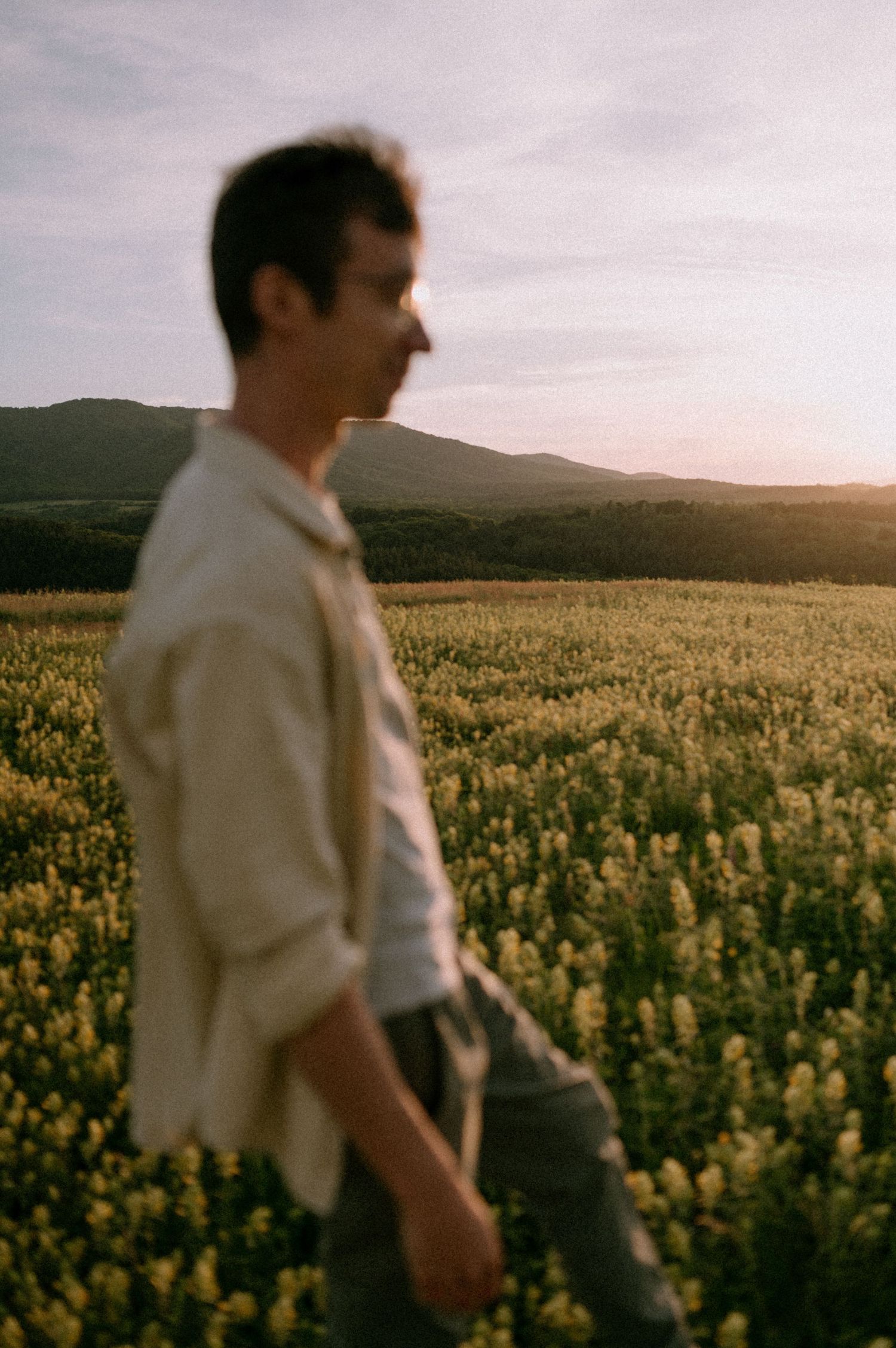A figure walks through a scenic field of yellow wildflowers at sunset with mountains in the background.