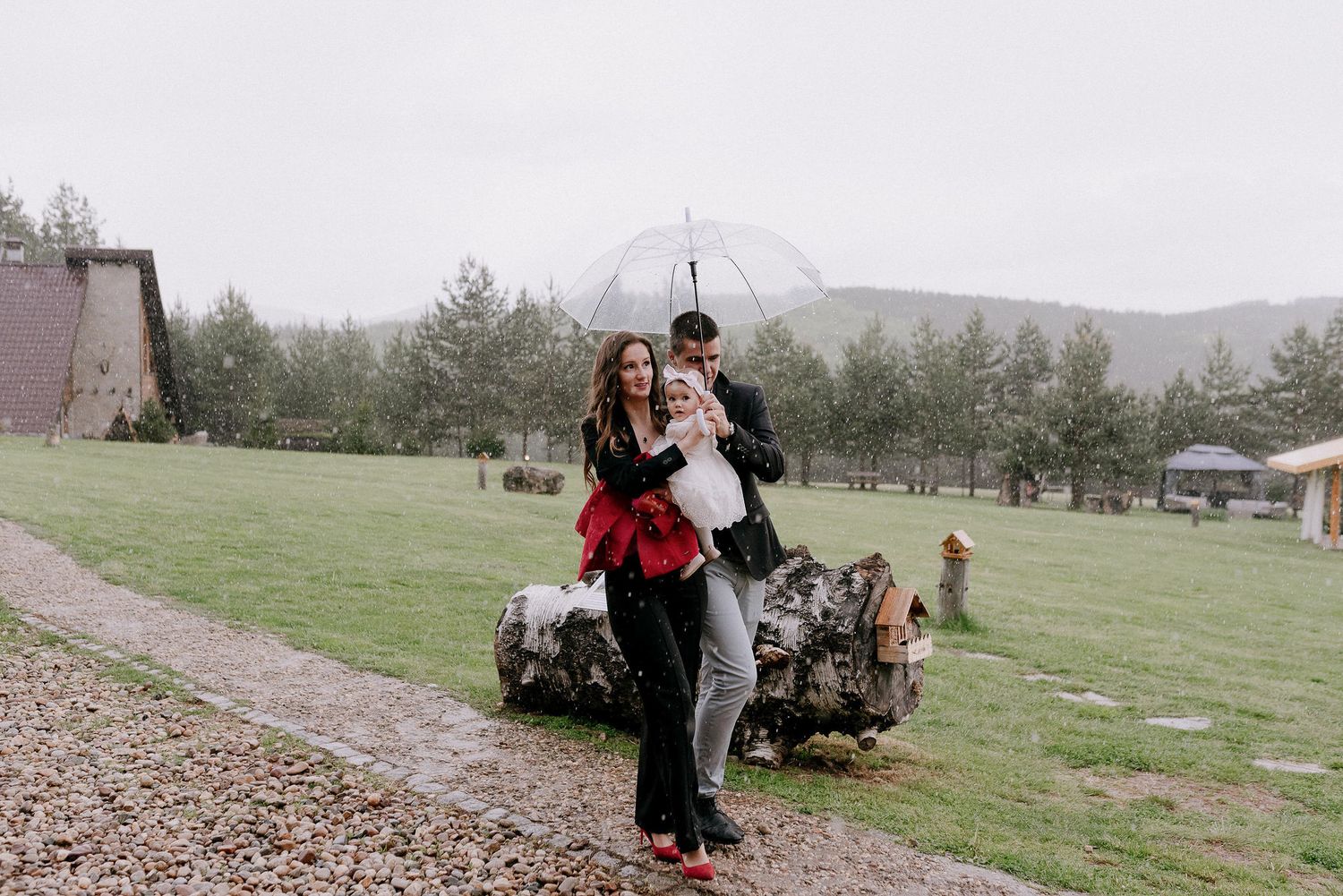 Scenic view of a grassy hillside venue with pine trees in the background.
