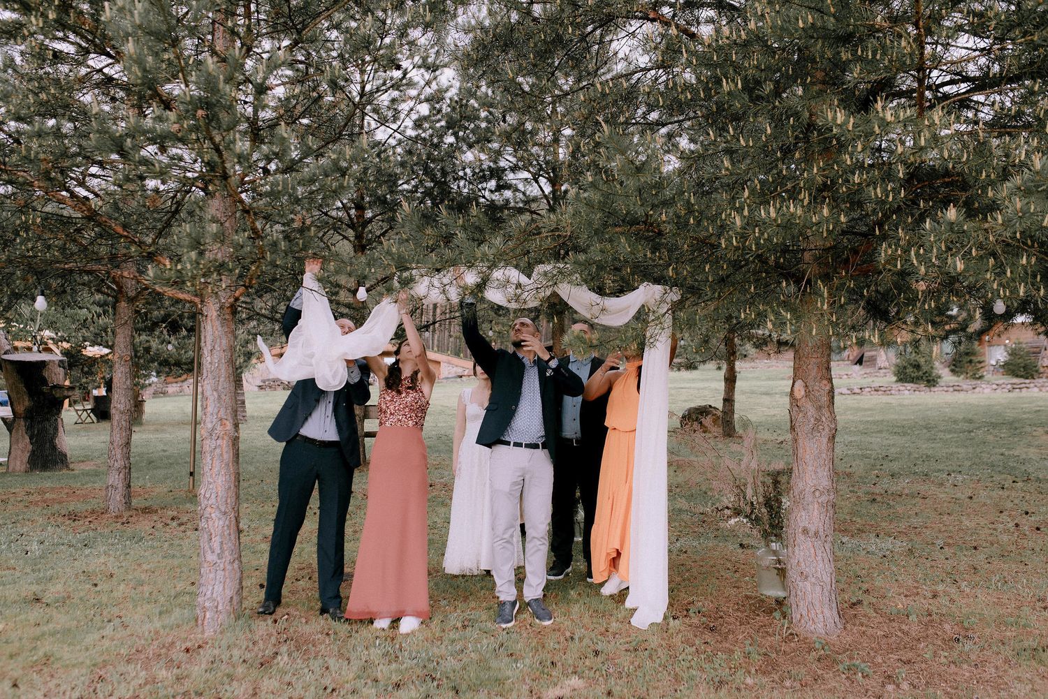 Wedding party poses between pine trees at an outdoor celebration.