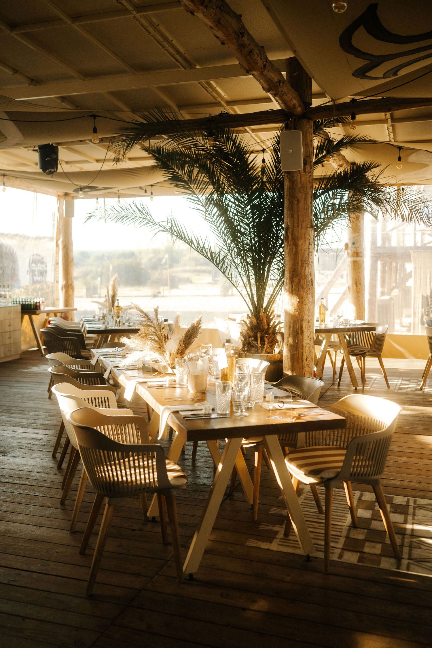 Sunlit coastal restaurant interior with palm decor and modern wooden furniture set for dining service.