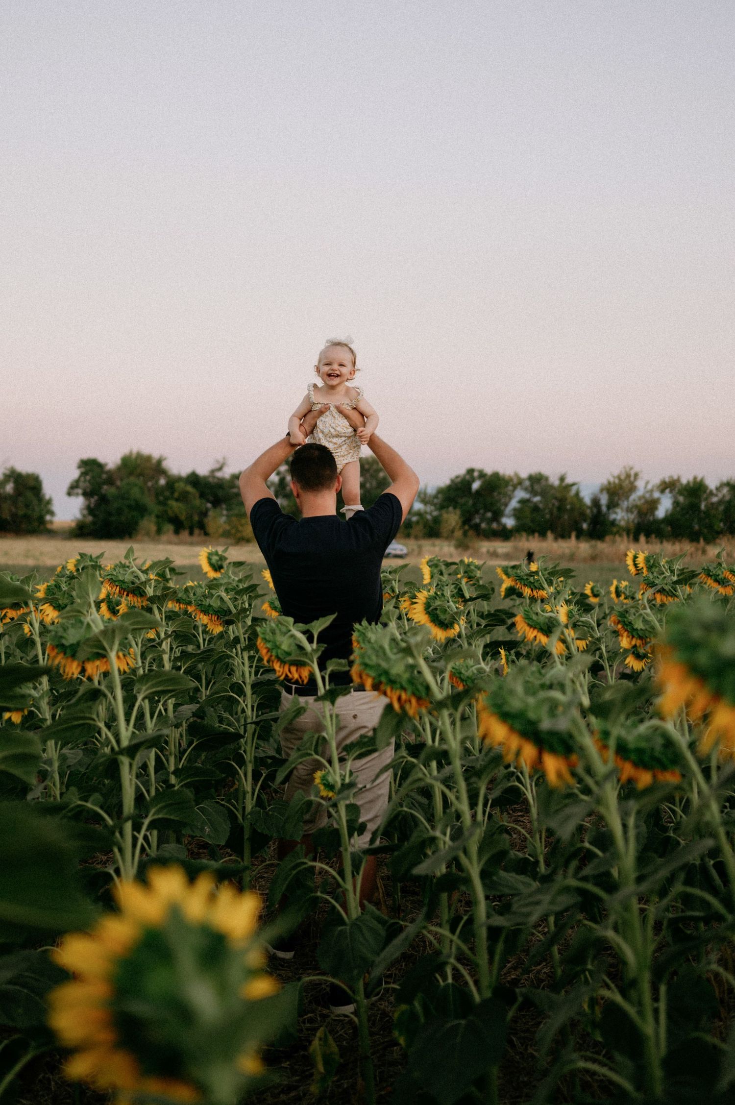 A father lifts his laughing baby above a sunflower field at dusk, surrounded by bright yellow blooms.