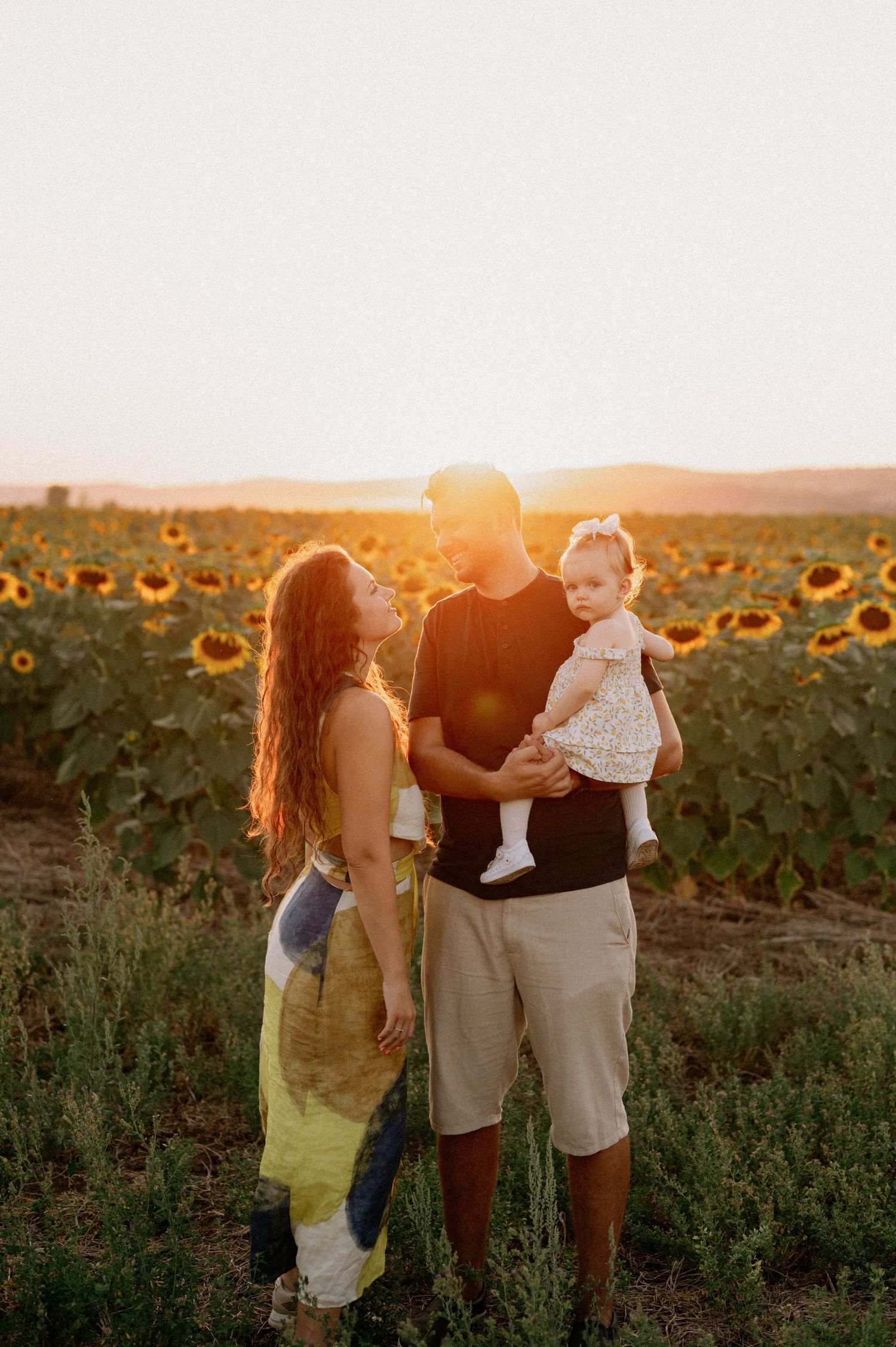 Family of three posing in a sunflower field at golden hour sunset, parents holding baby girl.