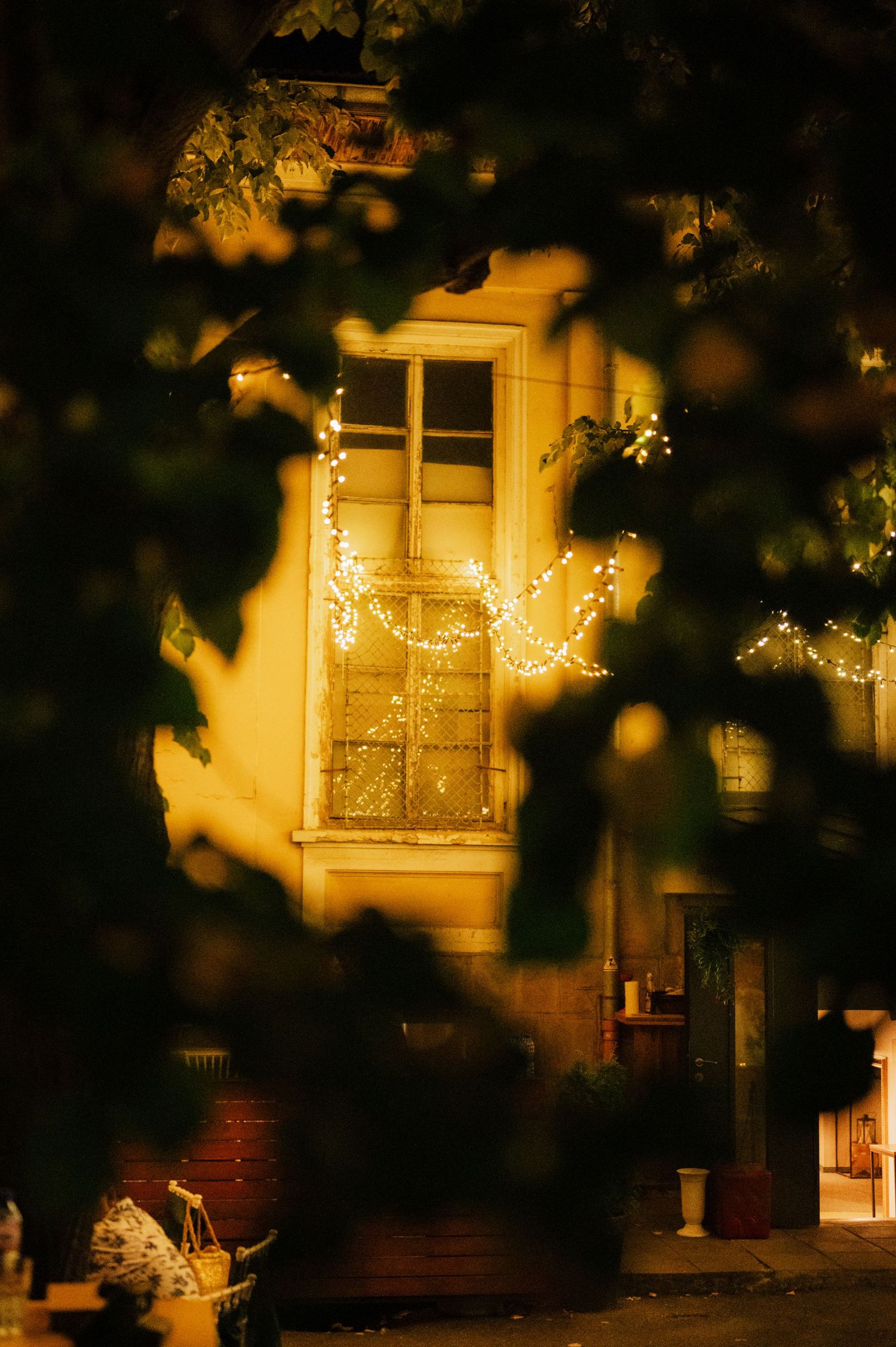 Illuminated windows glow warmly through tree branches at night creating a cozy atmospheric scene.