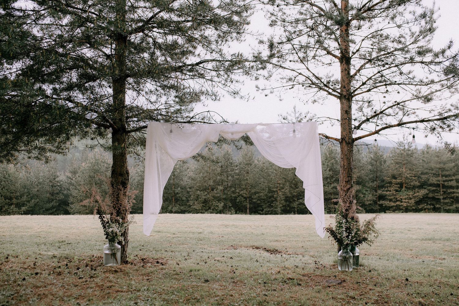 White fabric wedding arch decorated with greenery between two pine trees in a forest clearing.