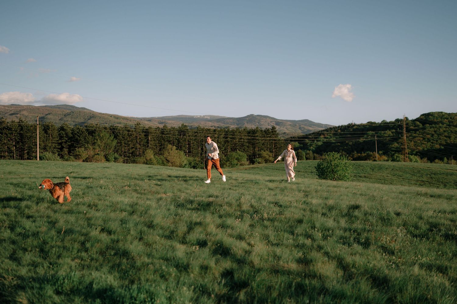 A scenic mountain meadow landscape with grazing horses against a backdrop of rolling hills and forest.