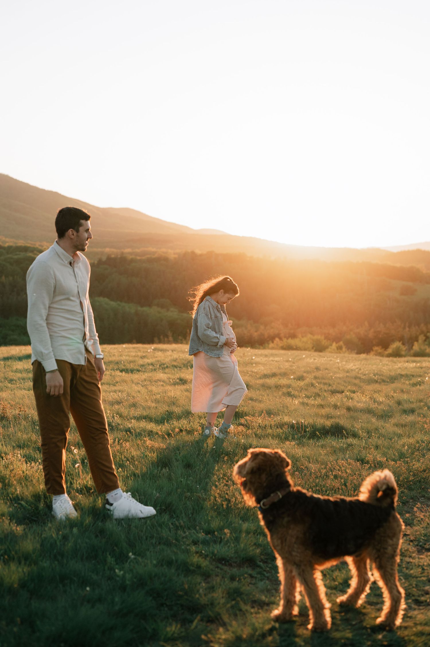 A couple and their fluffy dog stand together in a golden sunlit meadow during sunset.