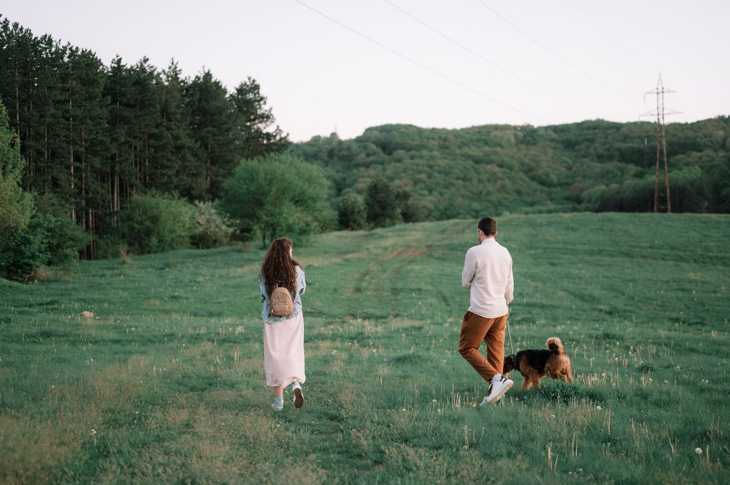 A series of film photos showing a dog and people walking through a serene green hillside landscape at dusk.