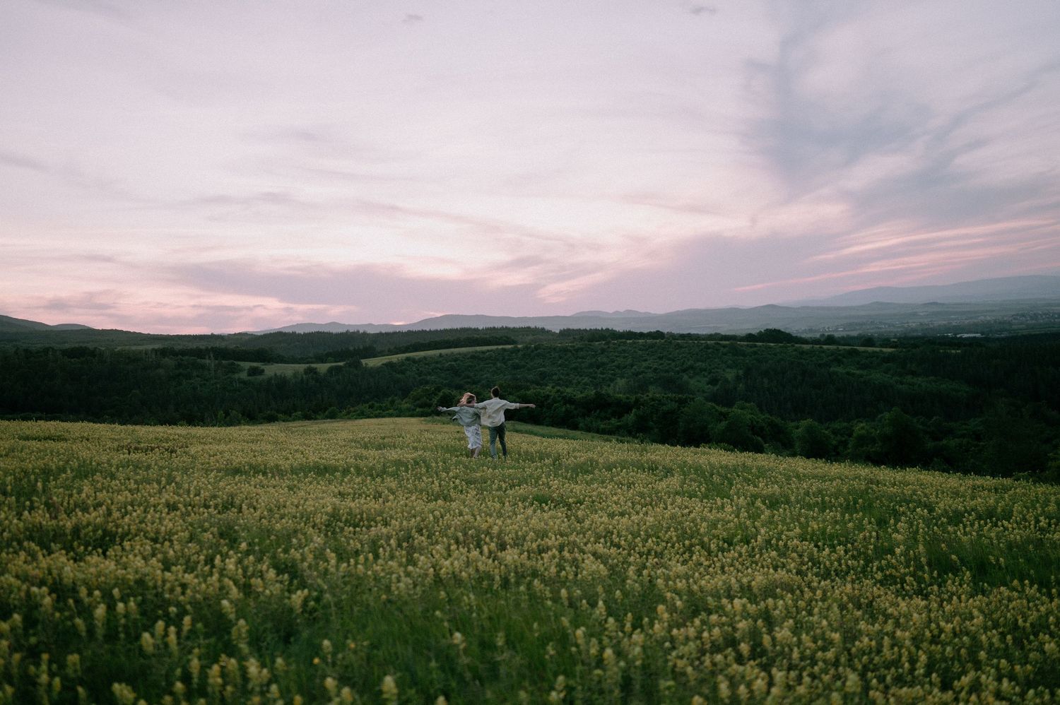 Silhouettes move freely through a scenic yellow flower field with mountains on the horizon.