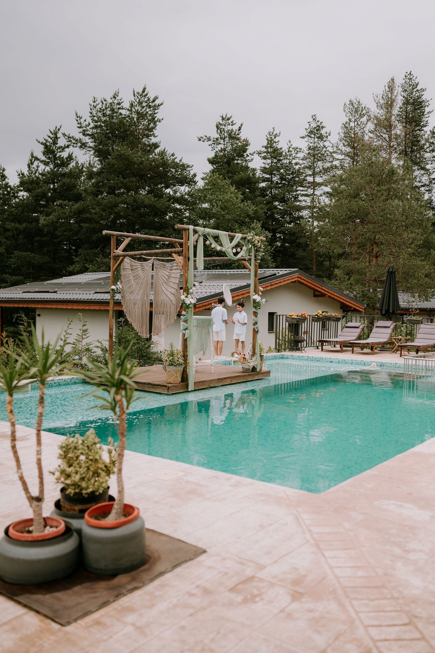 Turquoise swimming pool surrounded by potted plants and modern desert landscaping at a boutique resort.