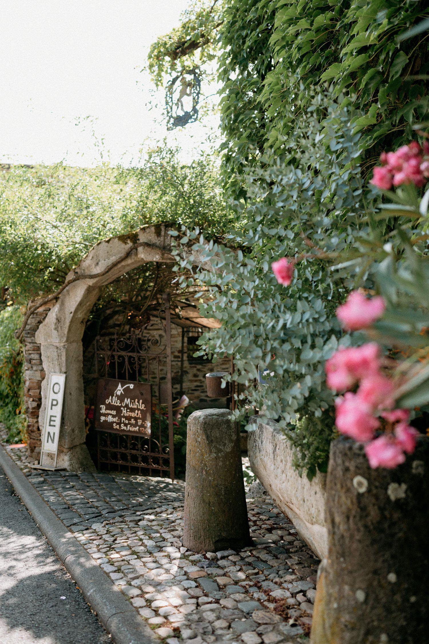 Cobblestone pathway lined with stone walls and pink climbing roses in a garden setting.