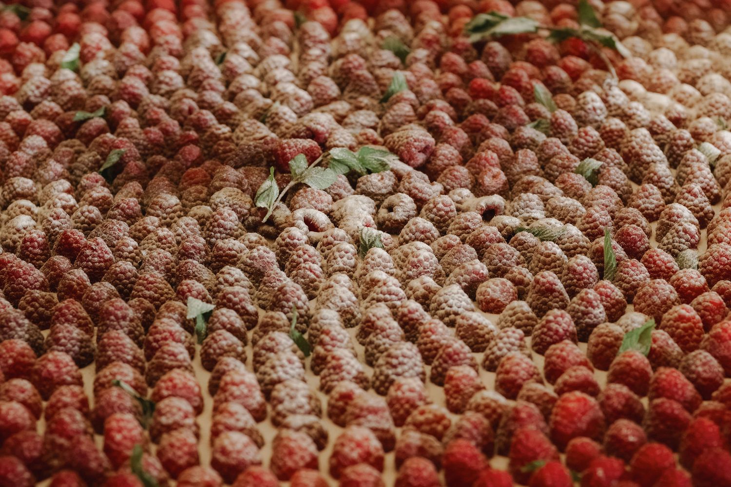 A large pile of fresh red raspberries with green leaves scattered throughout, displayed in rows at a market.