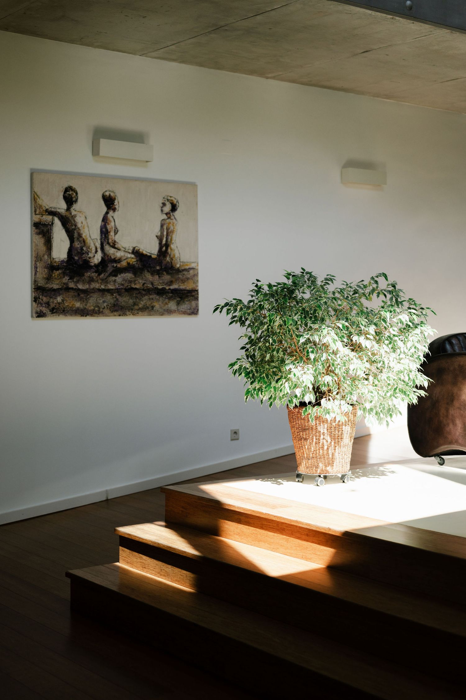 Sunlight streams through a window onto a wooden ledge with potted plants and artwork on the wall in a minimalist interior.