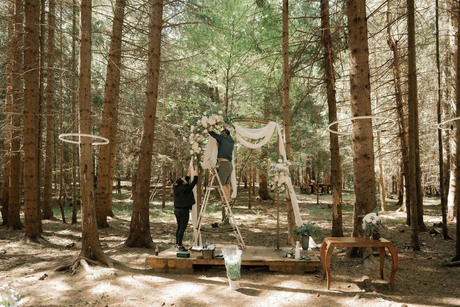 Person decorating a rustic wooden wedding arch with flowers in a sunlit pine forest outdoor ceremony setup.