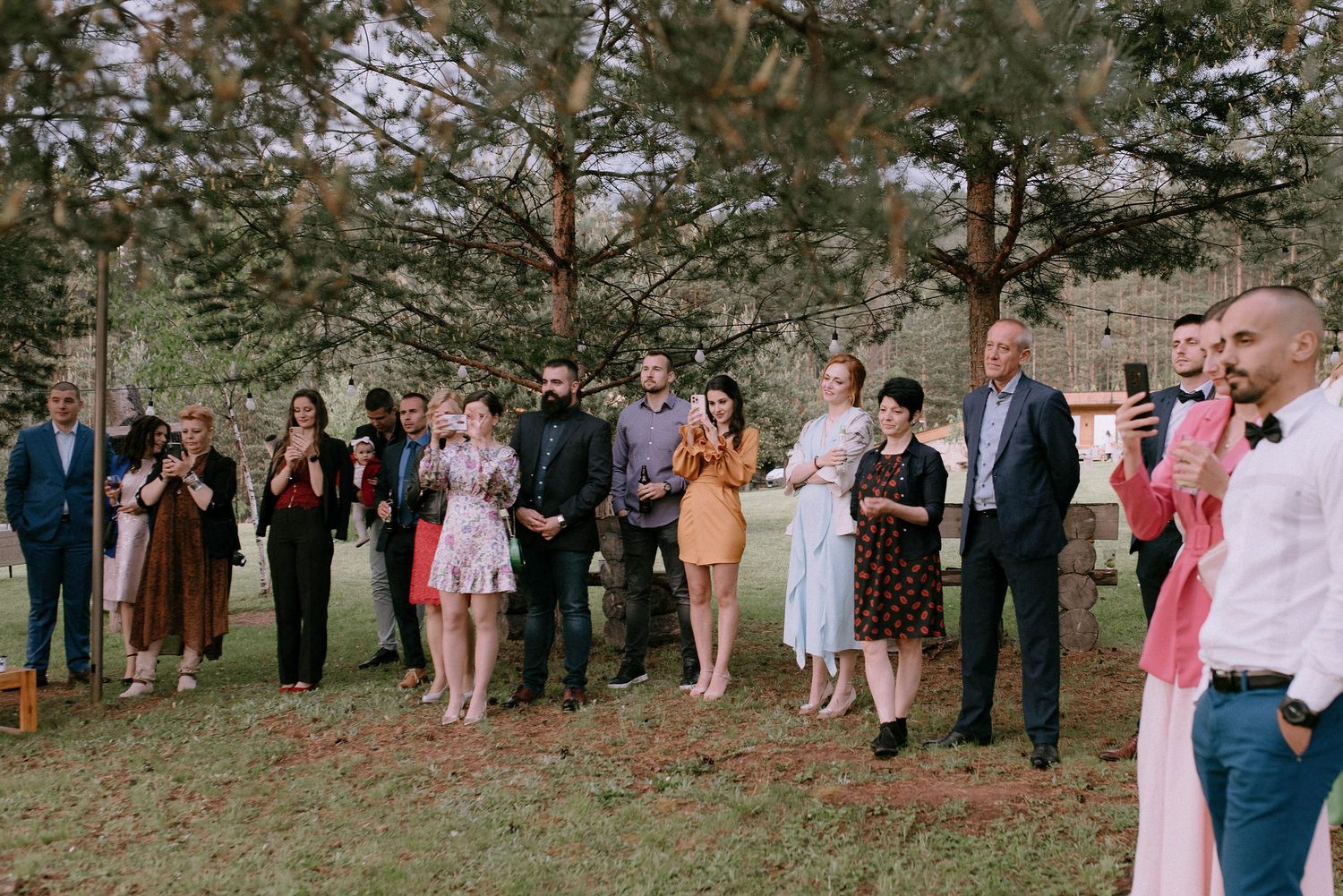 Large group of wedding guests lined up outdoors beneath towering pine trees.