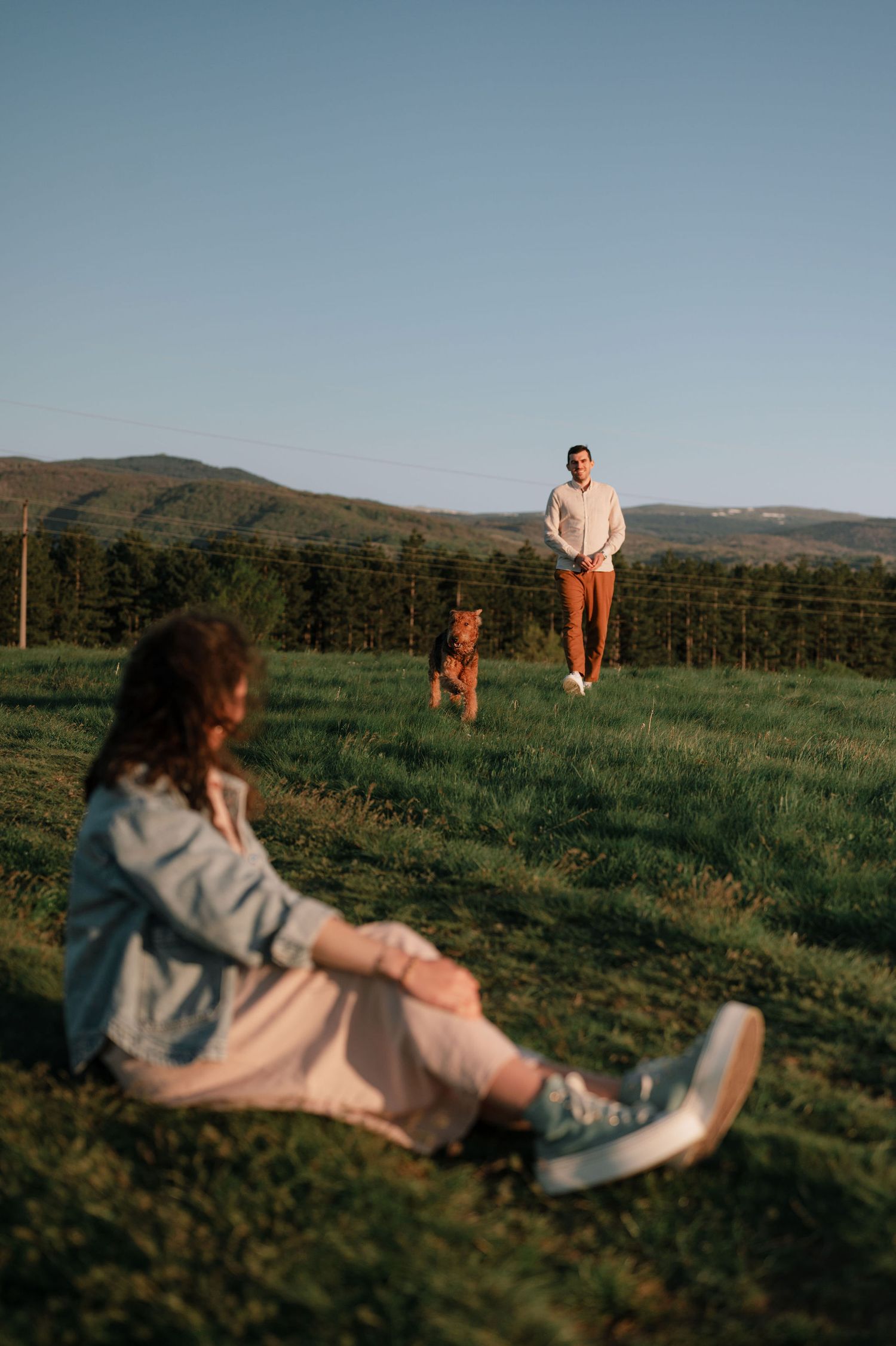 People and a dog spending time together on a scenic hilltop during golden hour.