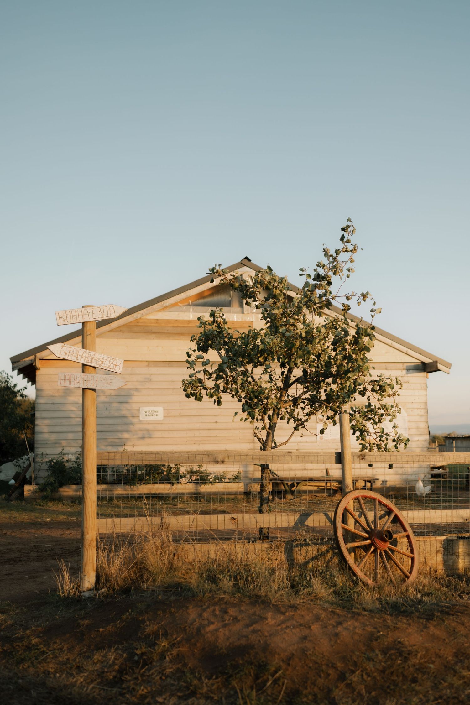 A rustic wooden house with weathered siding and an old wagon wheel in the foreground during golden hour.