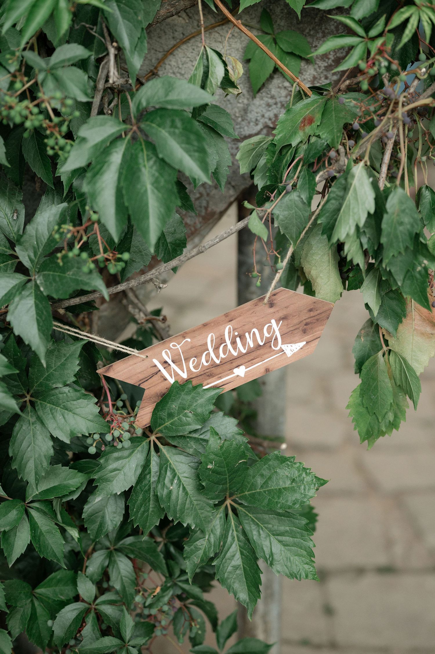 Decorative wooden wedding sign with cursive lettering nestled among green foliage and leaves.