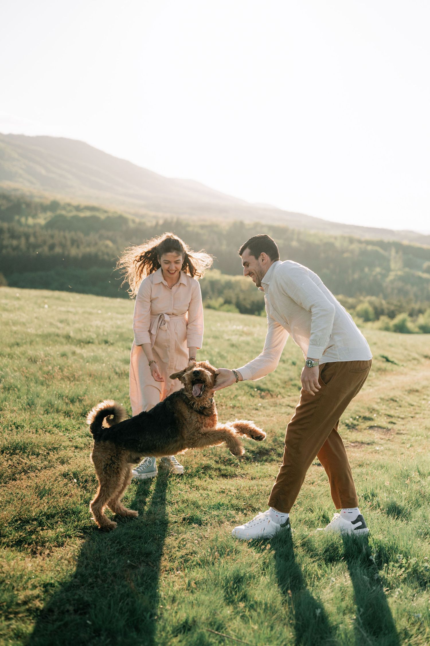 A couple plays with their dog in a sunlit meadow at golden hour, creating a series of joyful action shots.