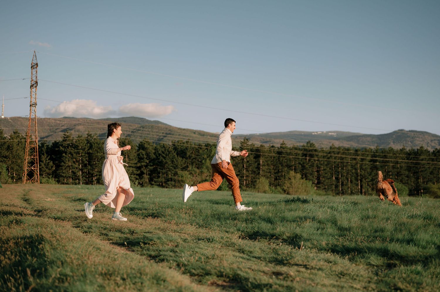 People and their pets enjoy outdoor activities in a scenic mountain field.