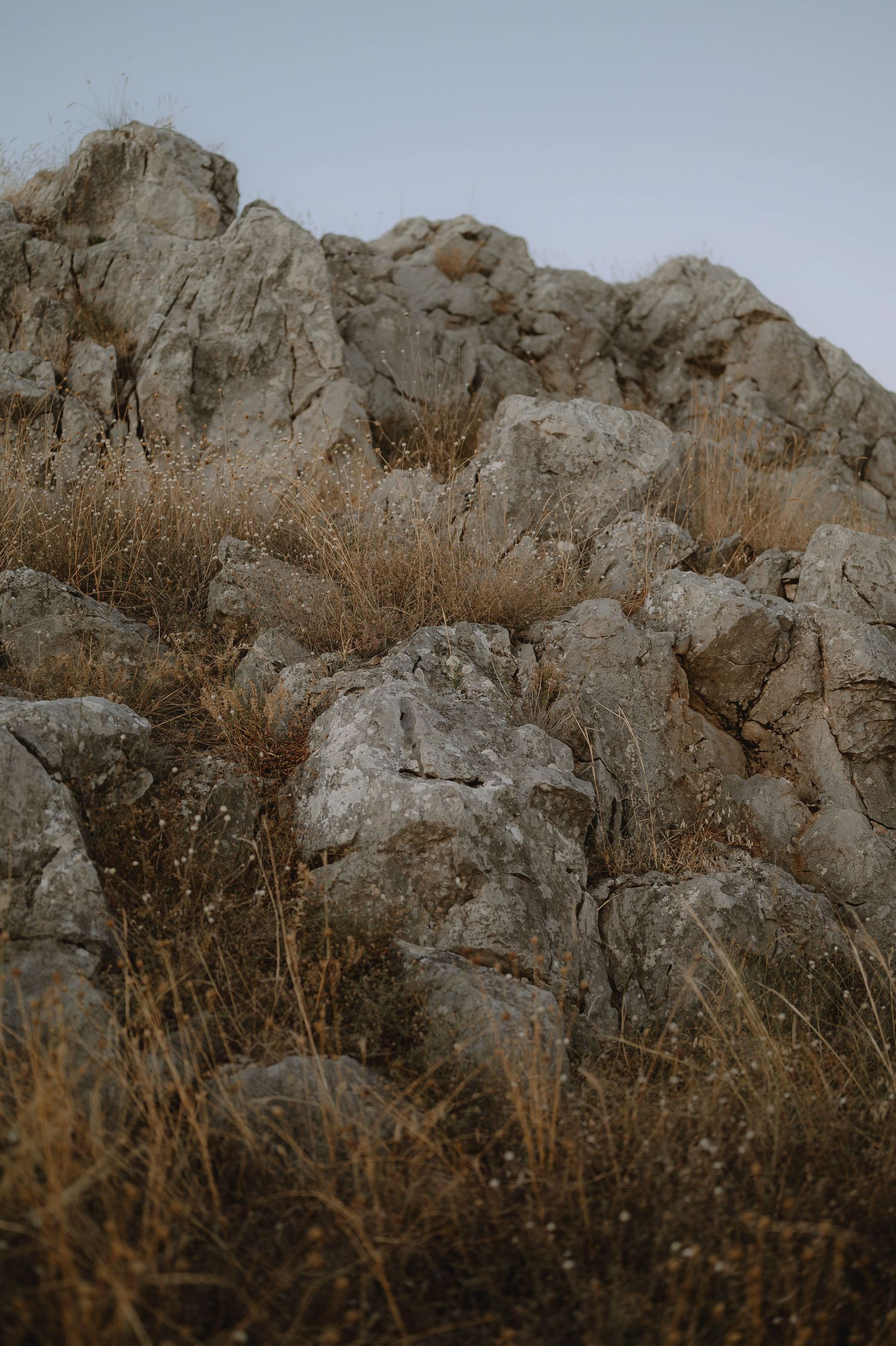 Rocky mountain cliffs with dry brown vegetation growing at the base against a moody overcast sky.