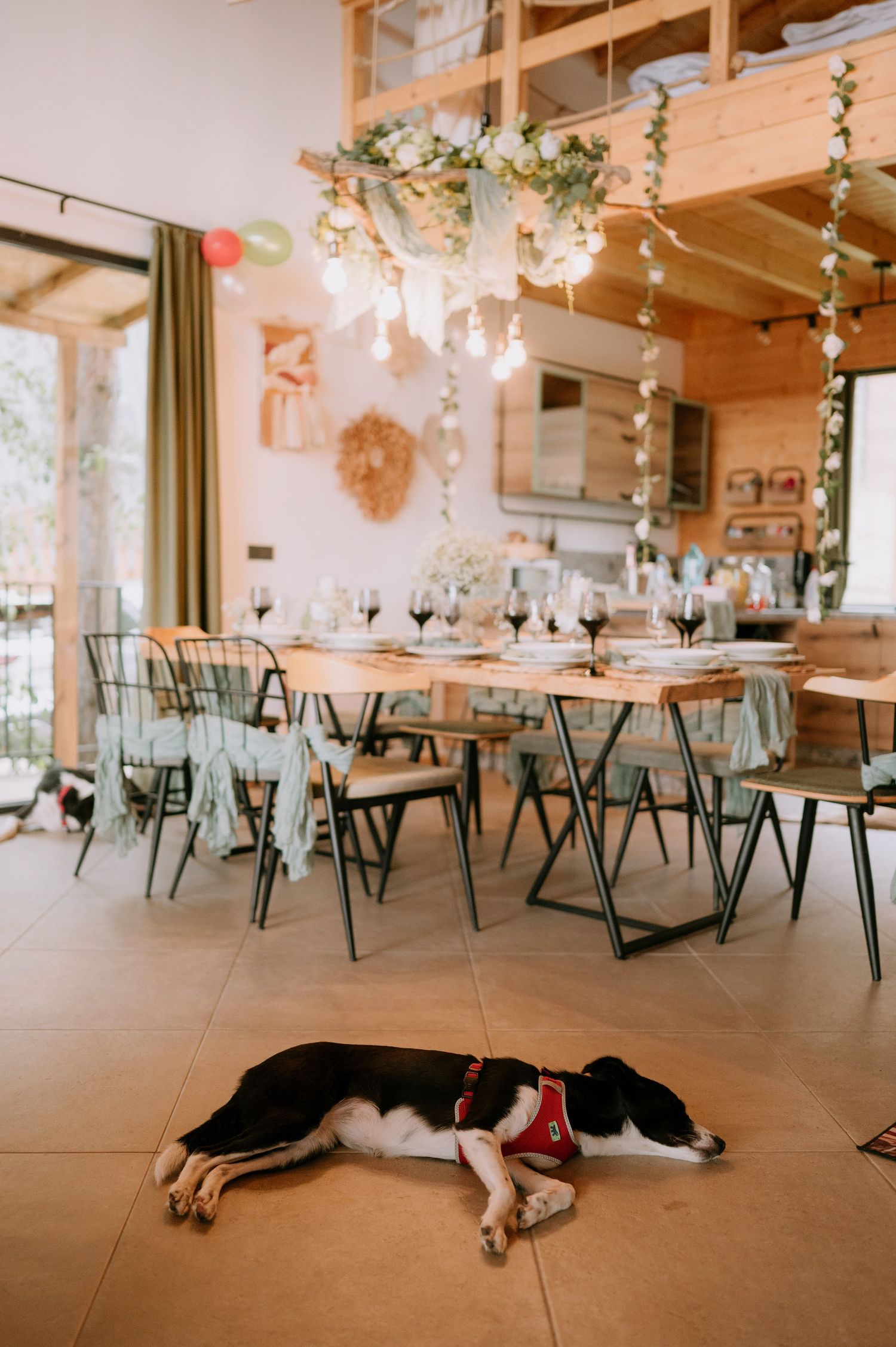 Dog resting on floor beneath elegant dining tables in rustic venue space.