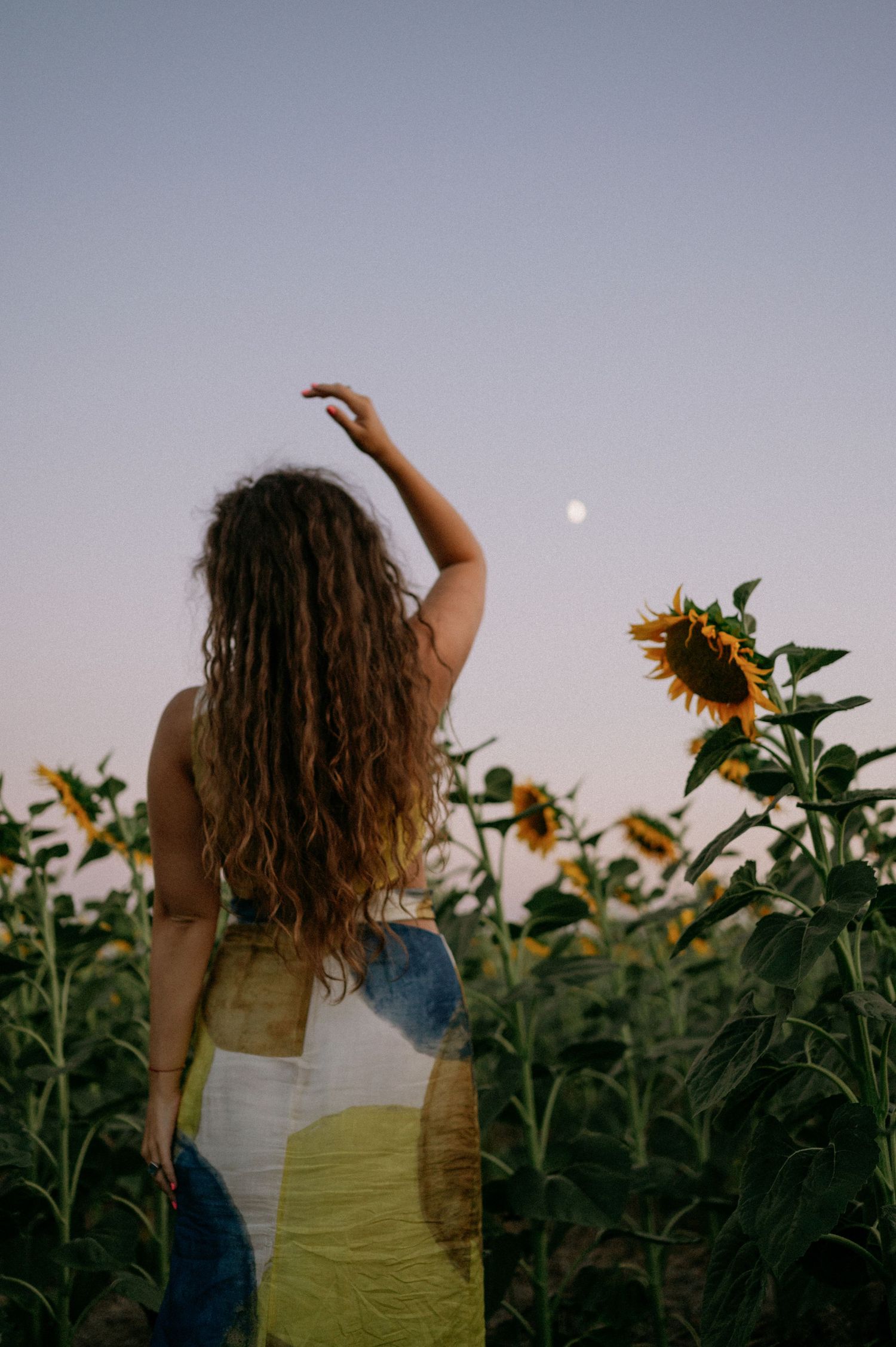 Woman with curly hair standing in a sunflower field at dusk, reaching toward the moon in a colorful dress.
