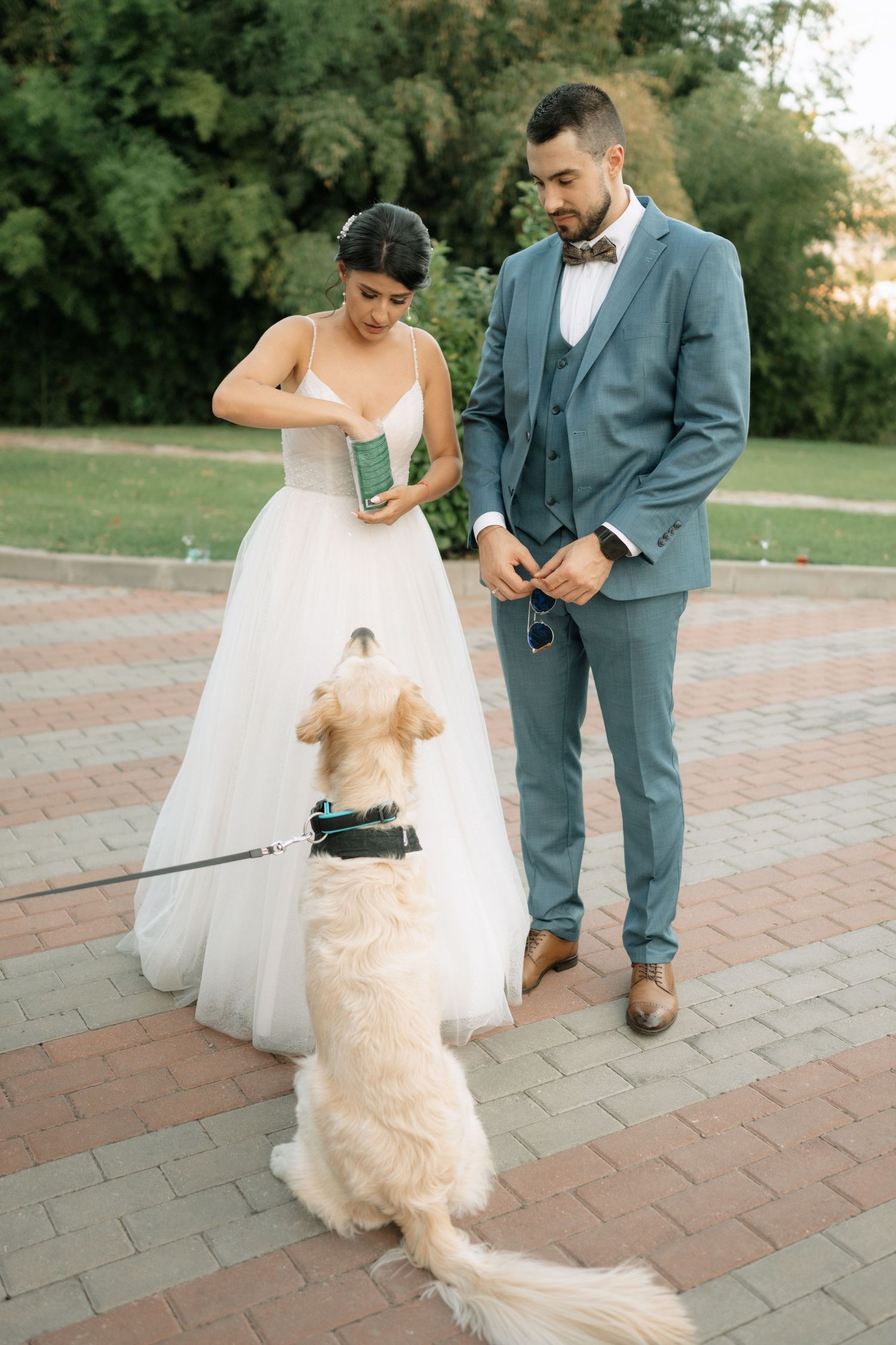 A couple in wedding attire plays with their fluffy cream-colored dog on a brick patio during sunset.