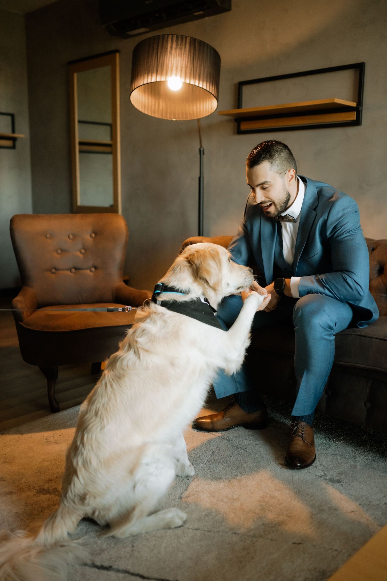 A Golden Retriever sits attentively with someone in a blue suit in an elegantly furnished room with mood lighting.