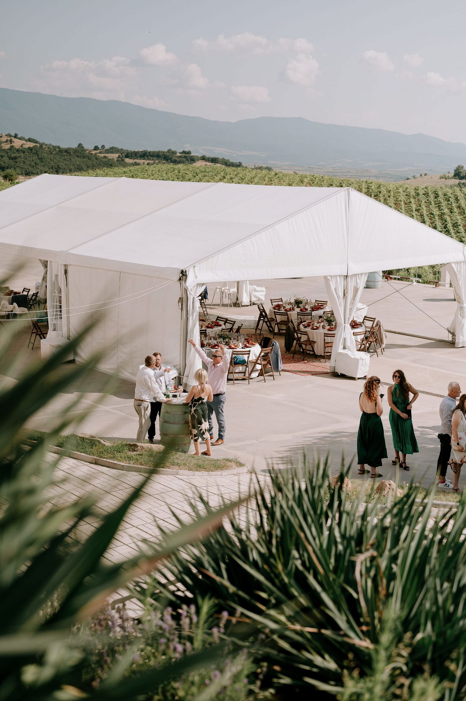 Large white wedding tent set up on a hillside with mountain views and palm plants in foreground.