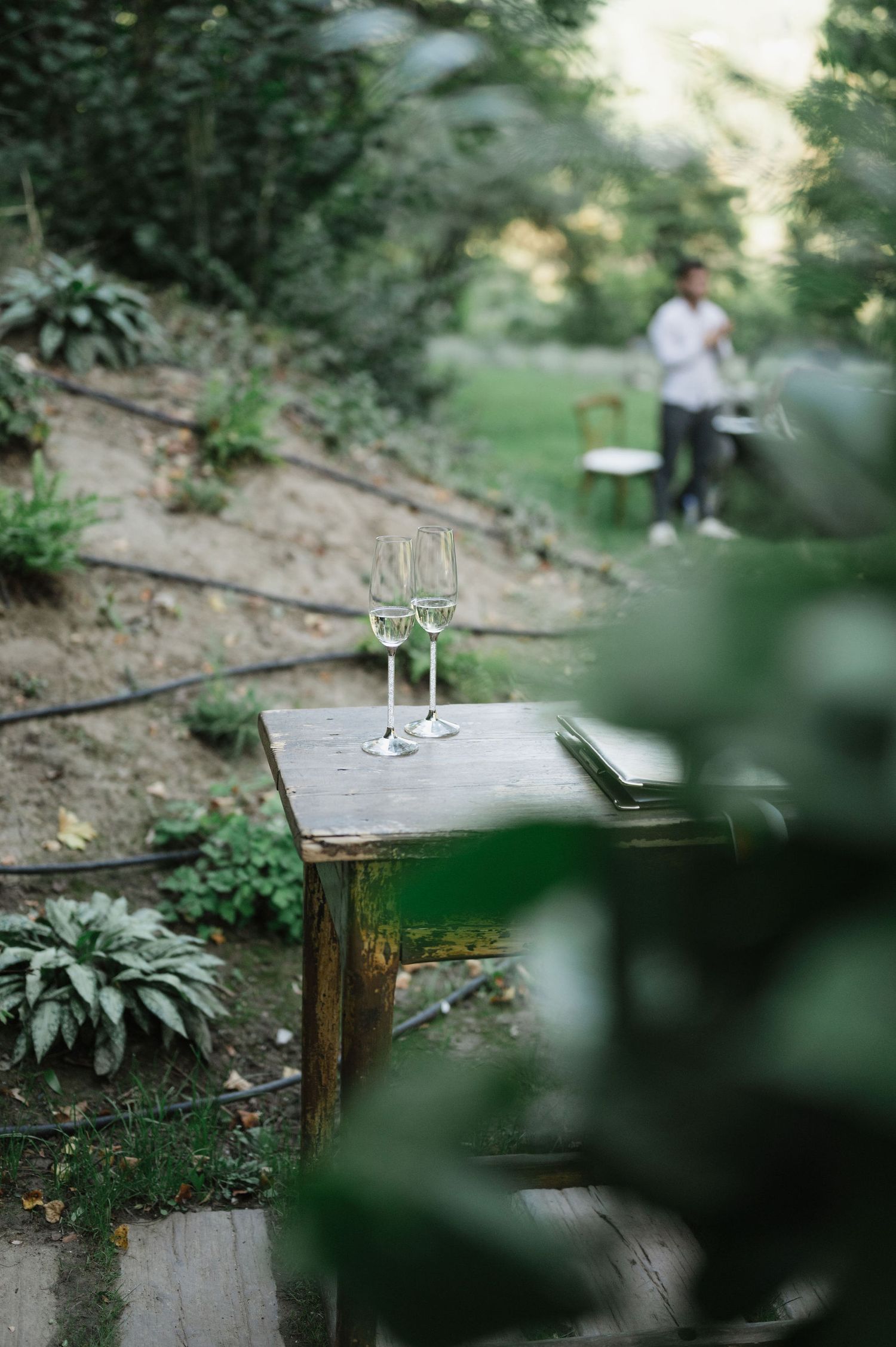 Vintage wooden table with champagne glasses set in a romantic forest setting.