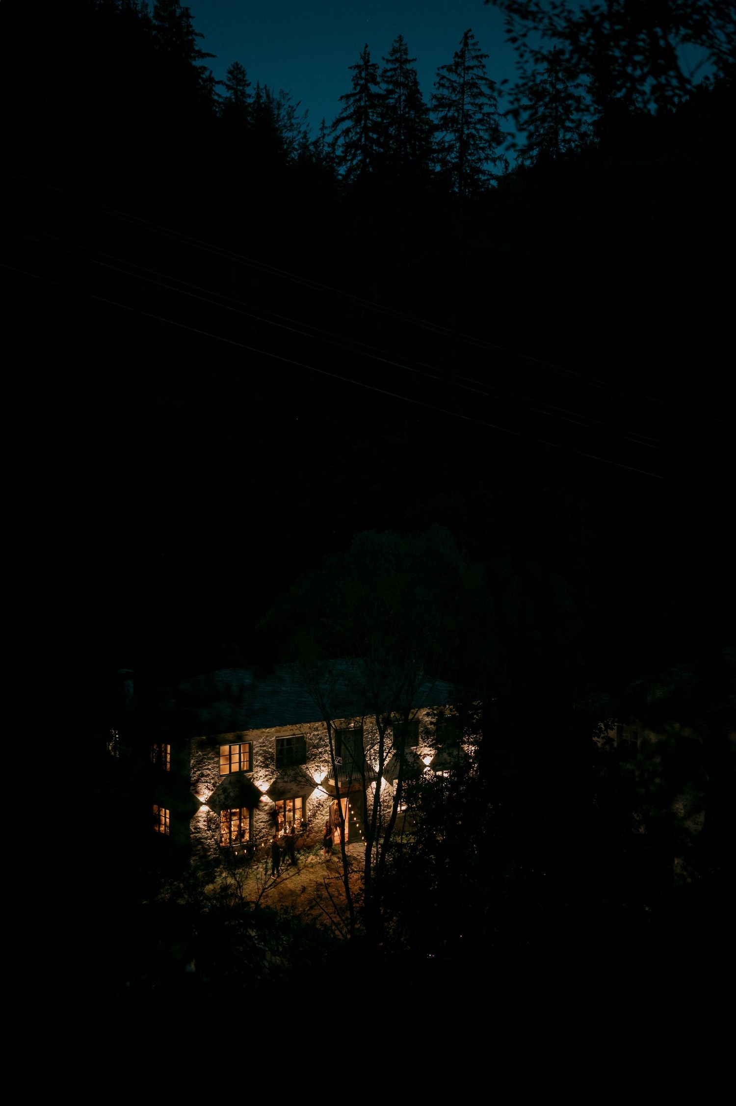 Illuminated building glows warmly through dark forest trees at night.