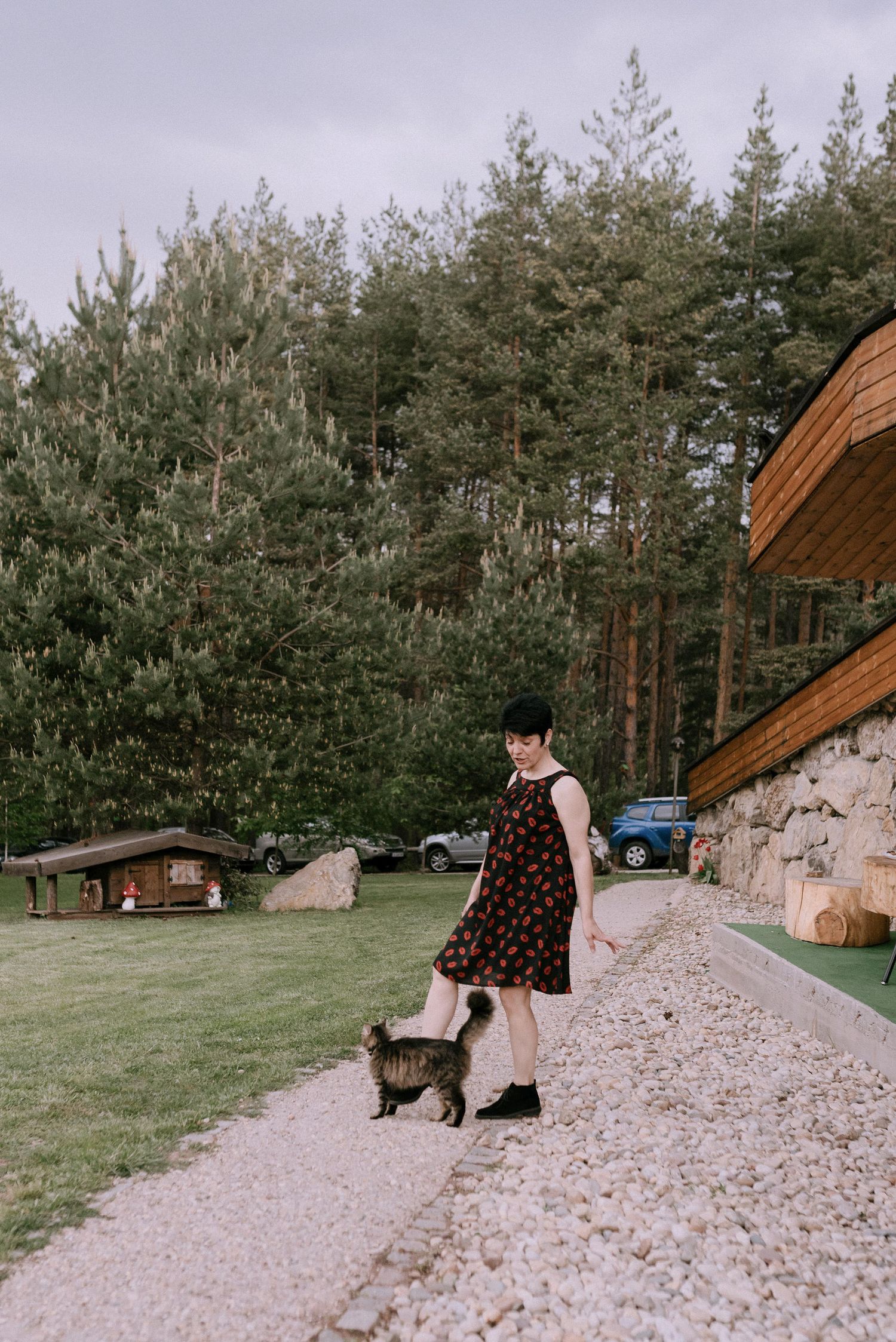 Rustic outdoor wedding venue with stone wall and pine forest backdrop.