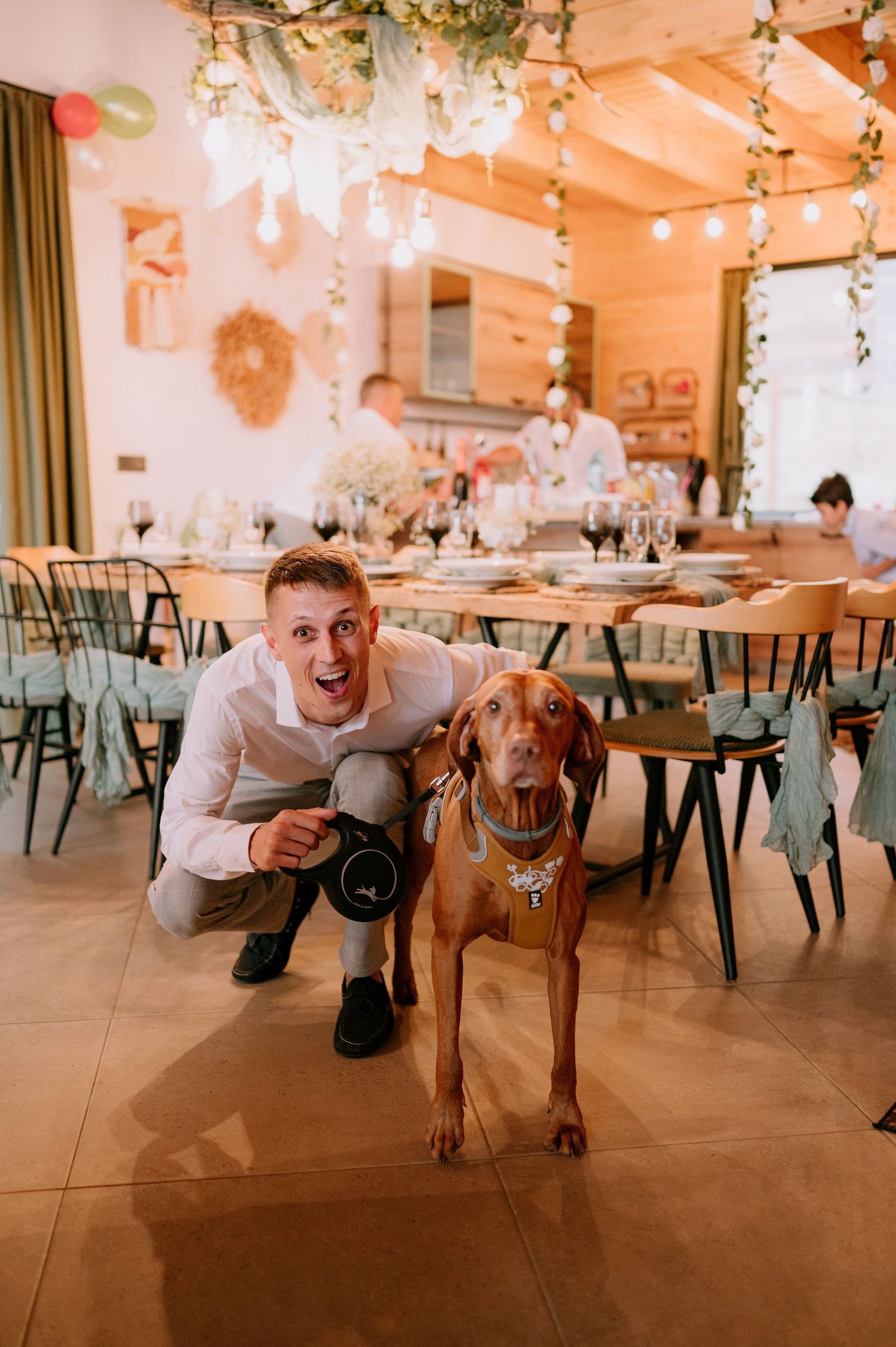 A person in white clothing crouches next to a brown dog in a decorated dining room setting.
