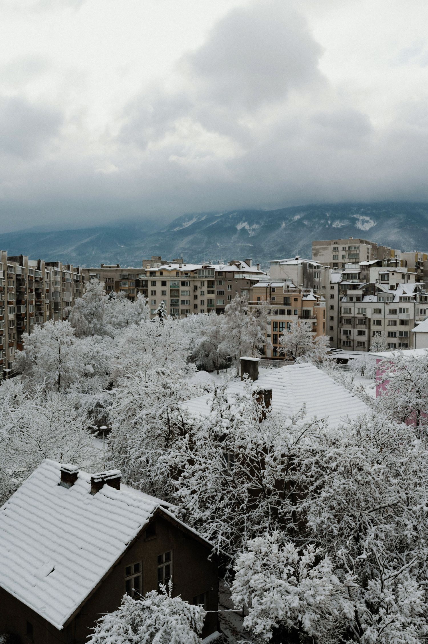 Snow-covered trees and buildings create a winter wonderland landscape in a residential neighborhood with mountains in background.