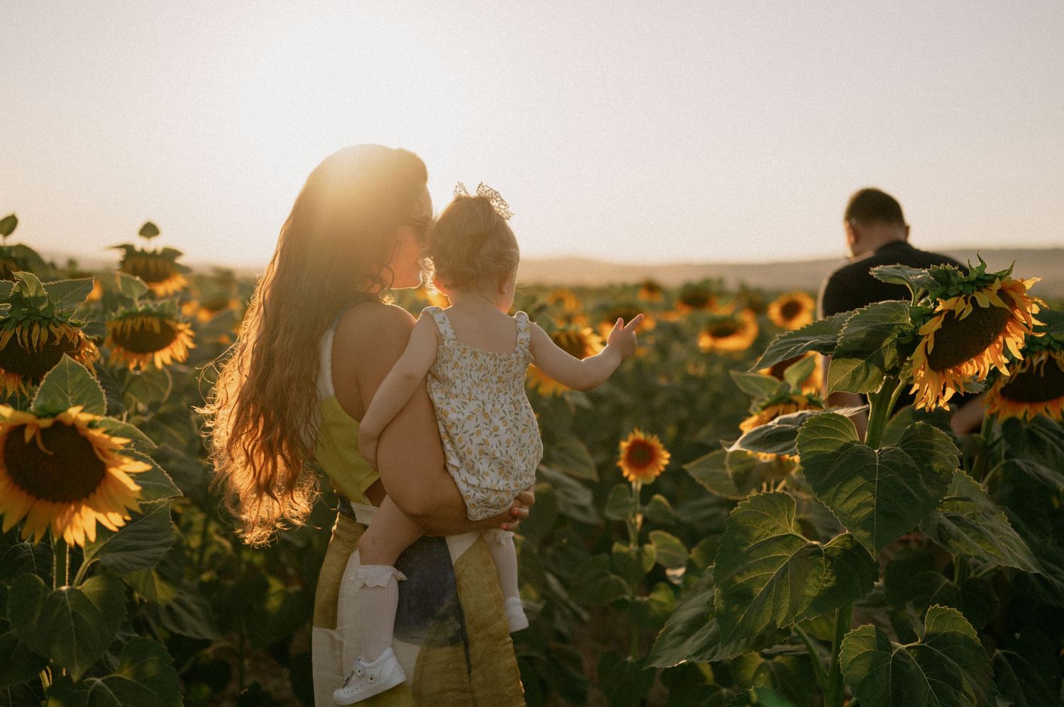 A mother holds her toddler in a golden sunflower field at sunset, with a man visible in the background.