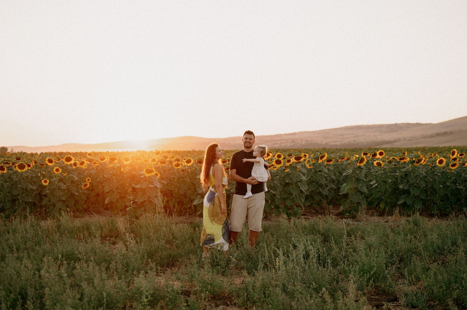 A couple stands in a sunflower field at golden hour sunset with rolling hills in the background.