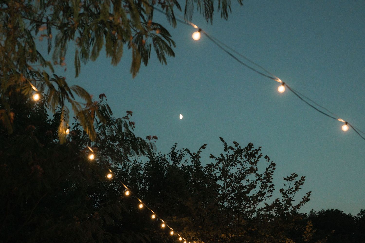 String lights illuminate a dusk sky with tree branches silhouetted against a moody teal backdrop.
