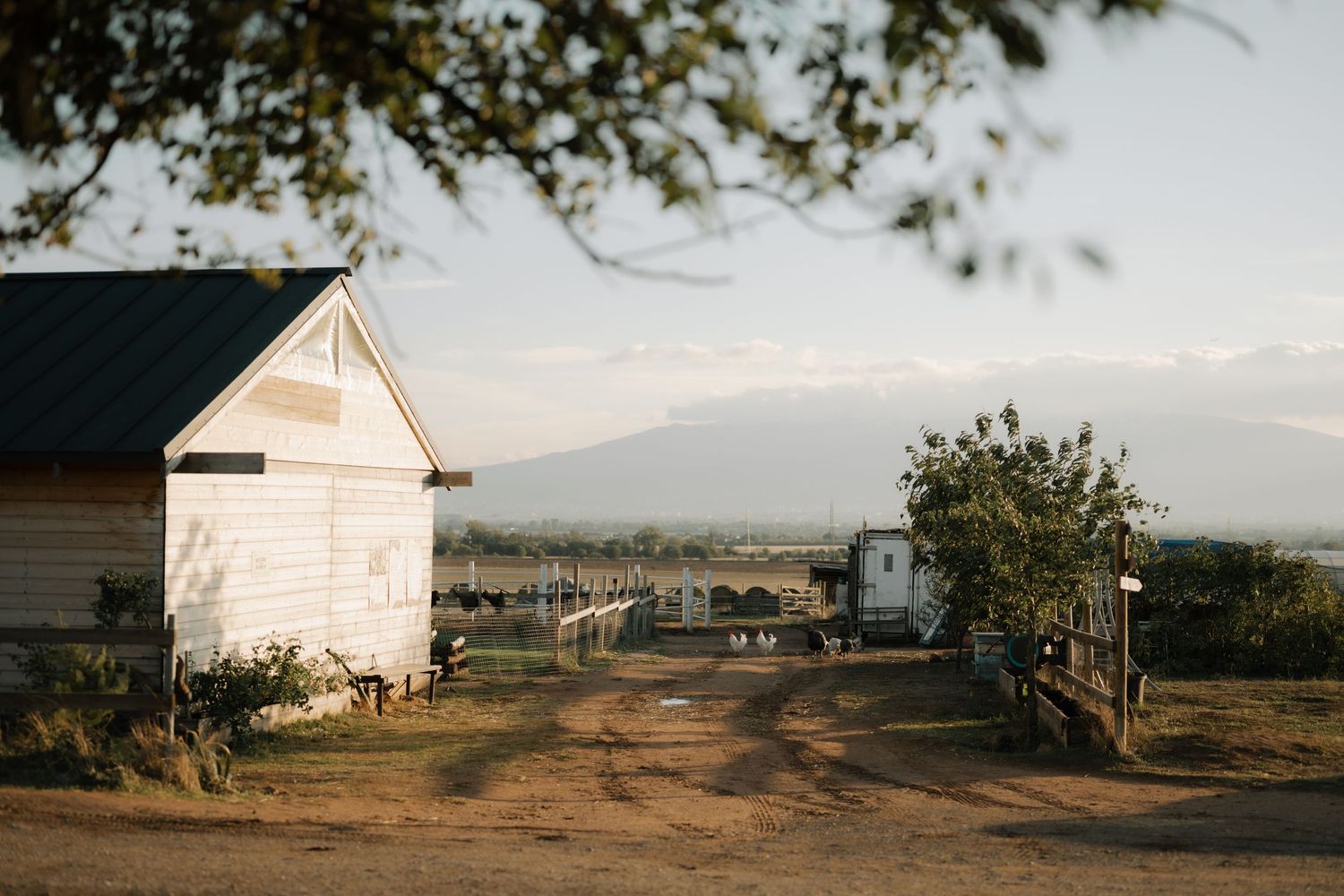 Panoramic view of white rural farmhouses against a mountainous landscape at sunset.