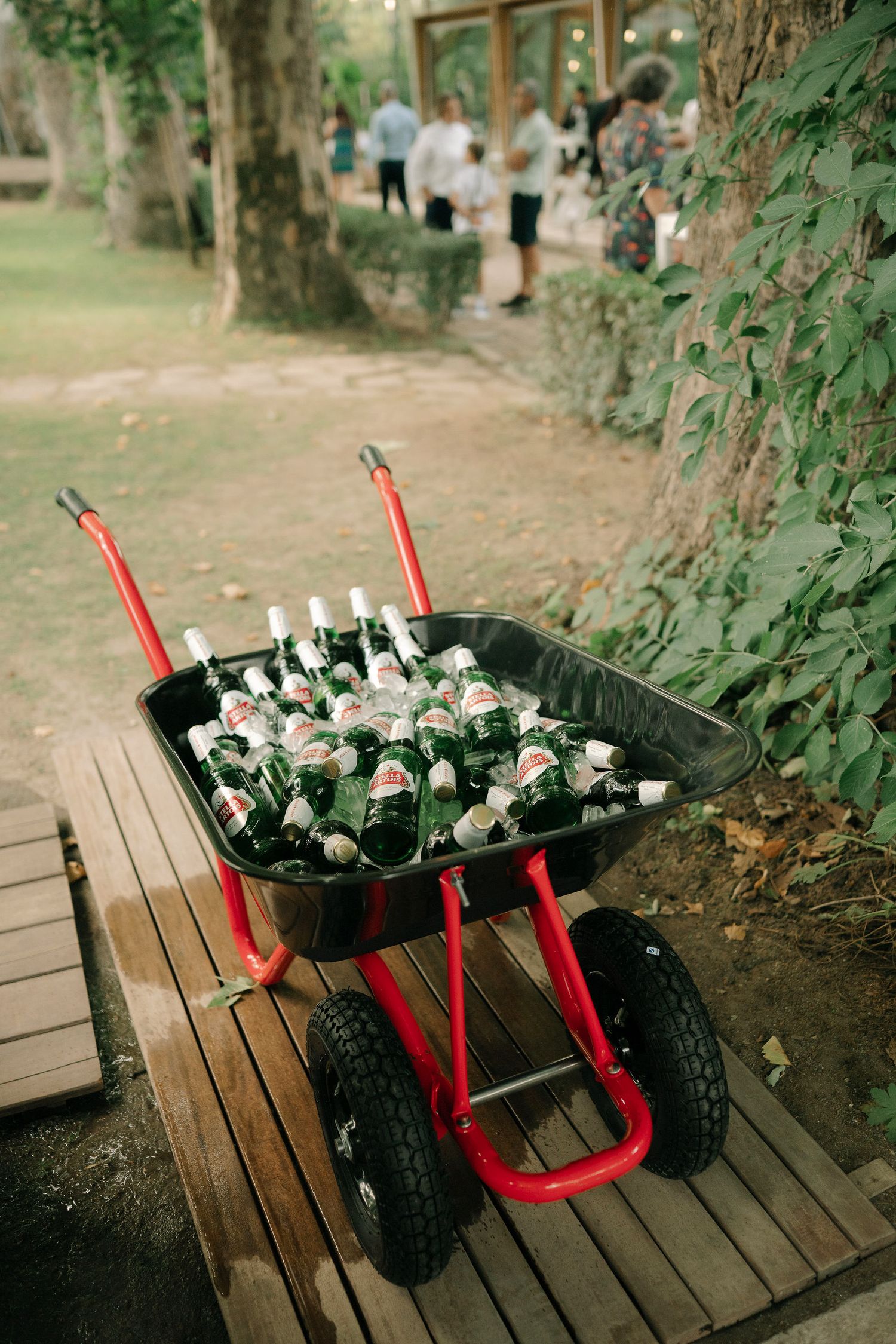 A rustic wheelbarrow filled with white roses and red handles sits on wooden planks in a garden setting.