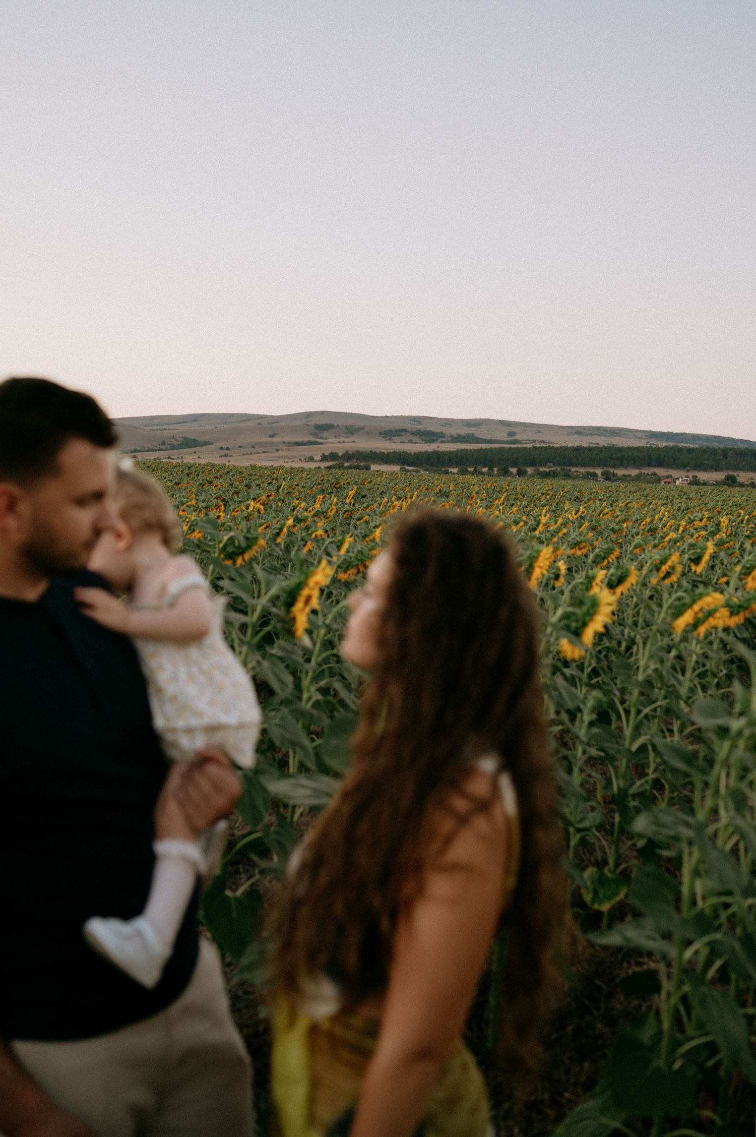Family with baby in sunflower field at dusk, man kissing infant while woman with curly hair stands nearby.